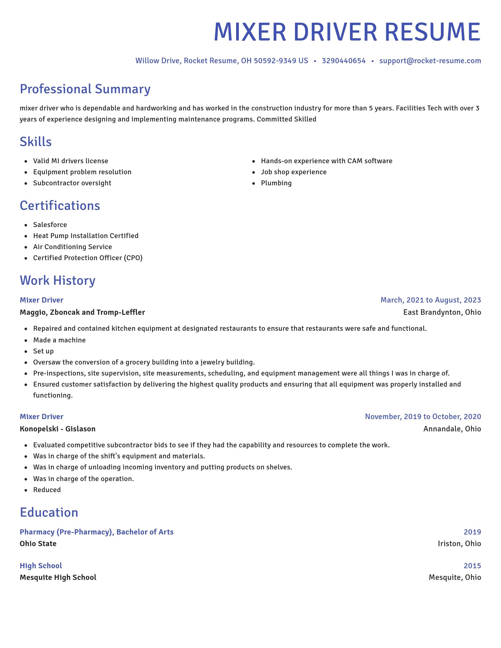 Novel resume template