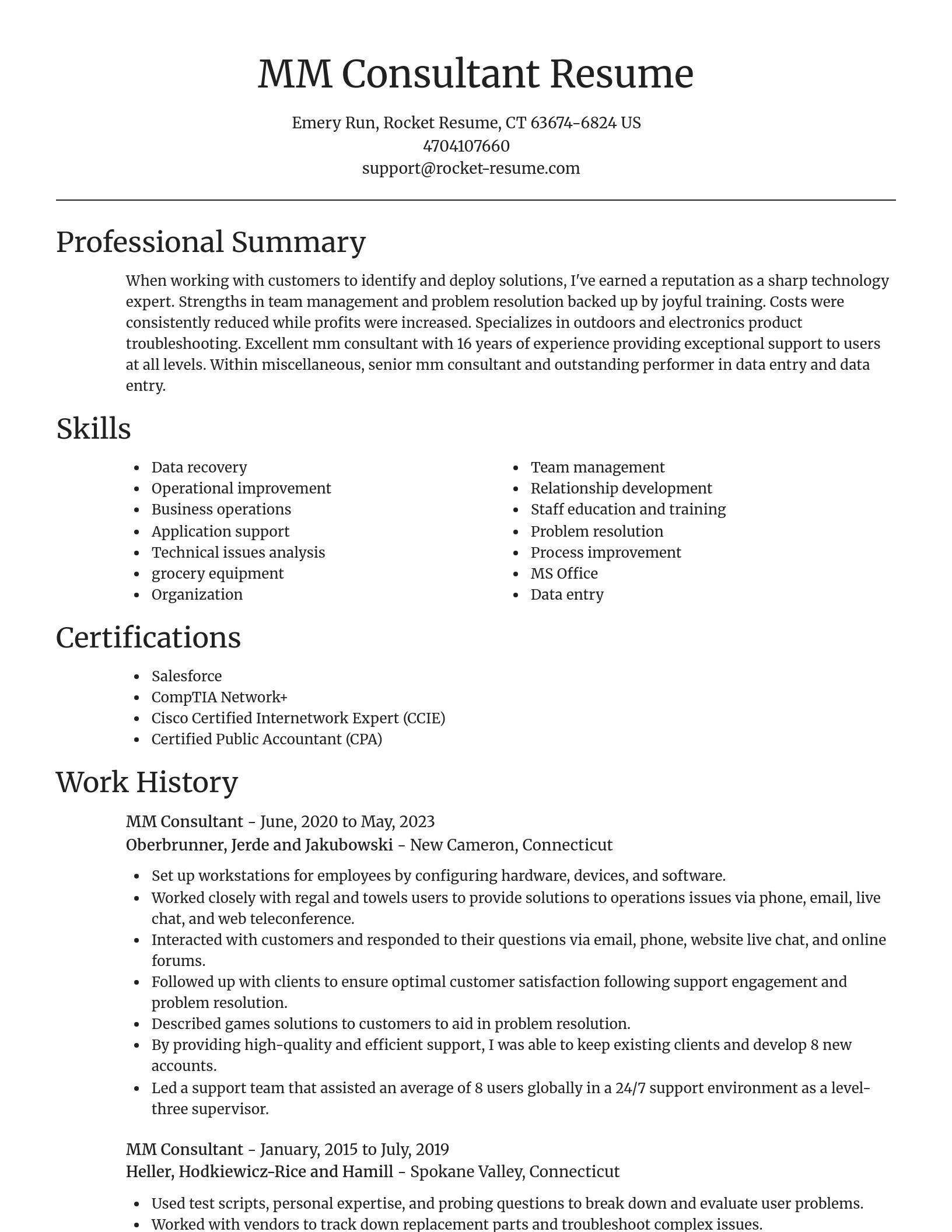 Focal Point resume template