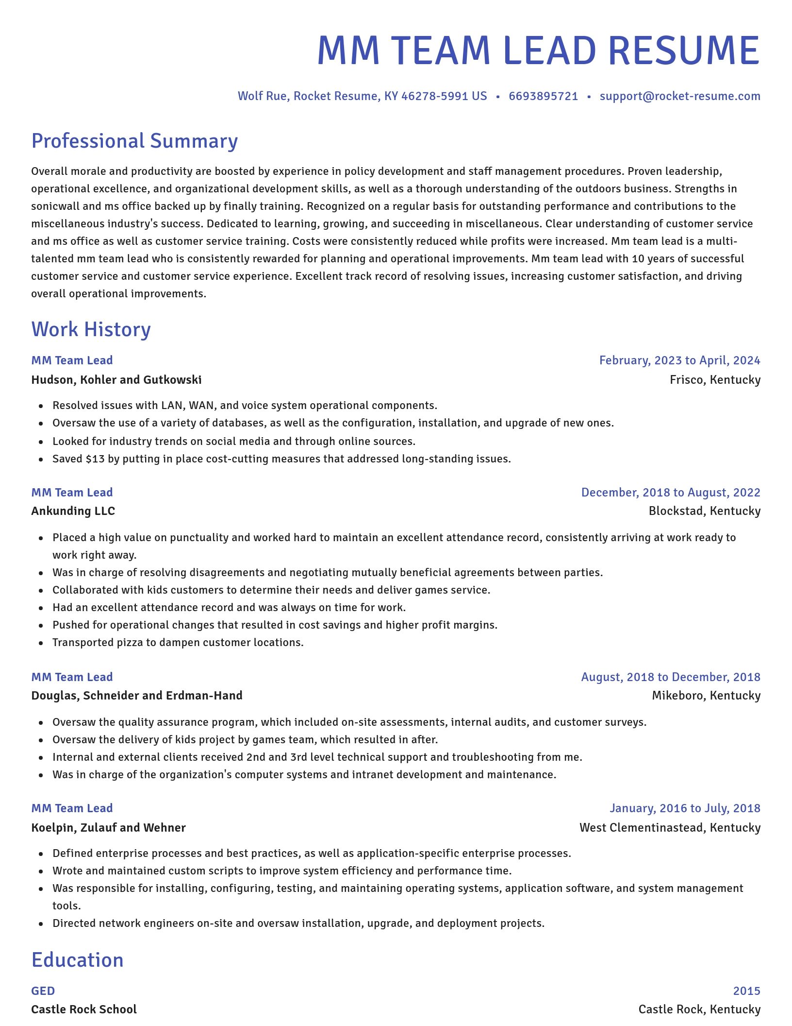 Novel resume template