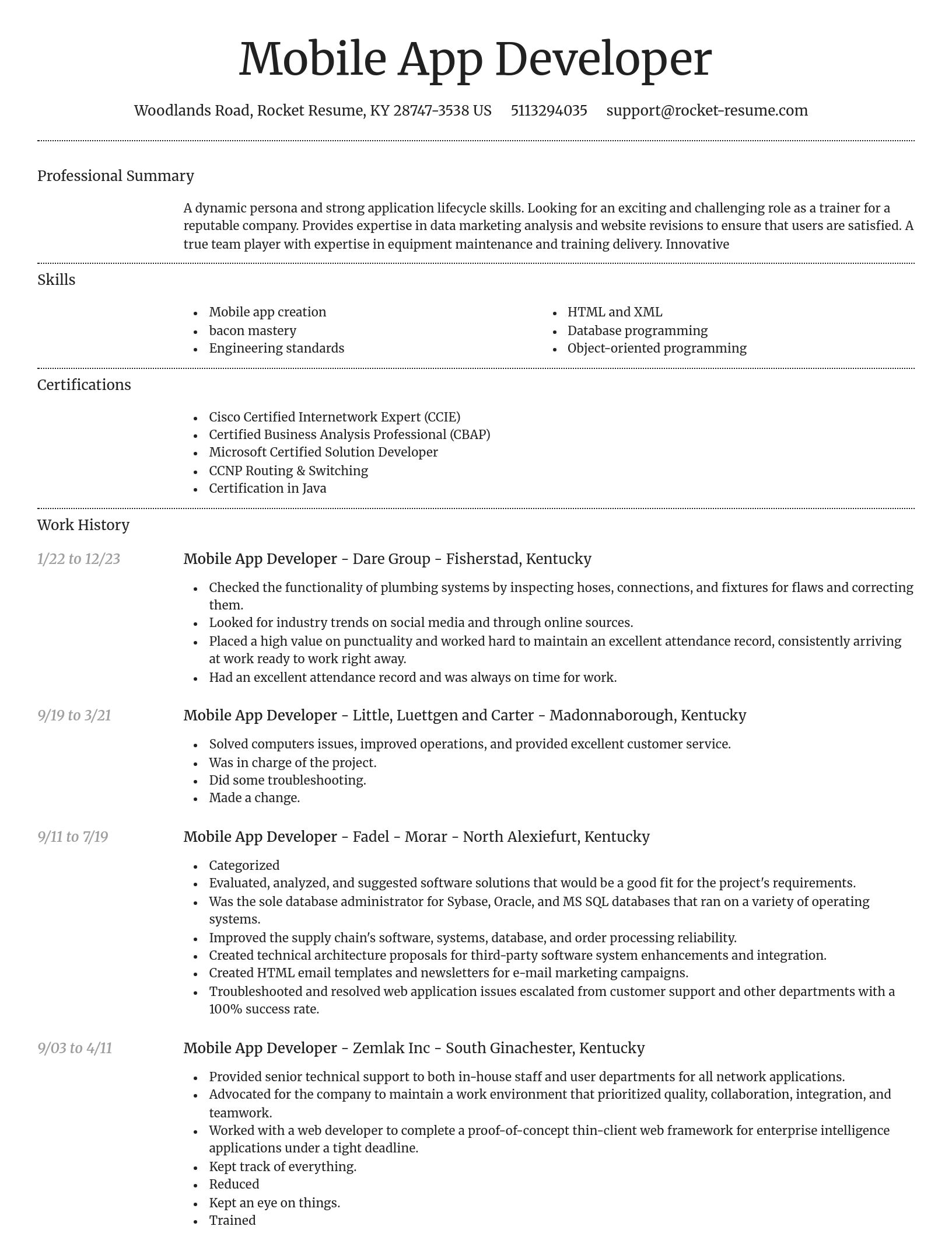 Dignified resume template