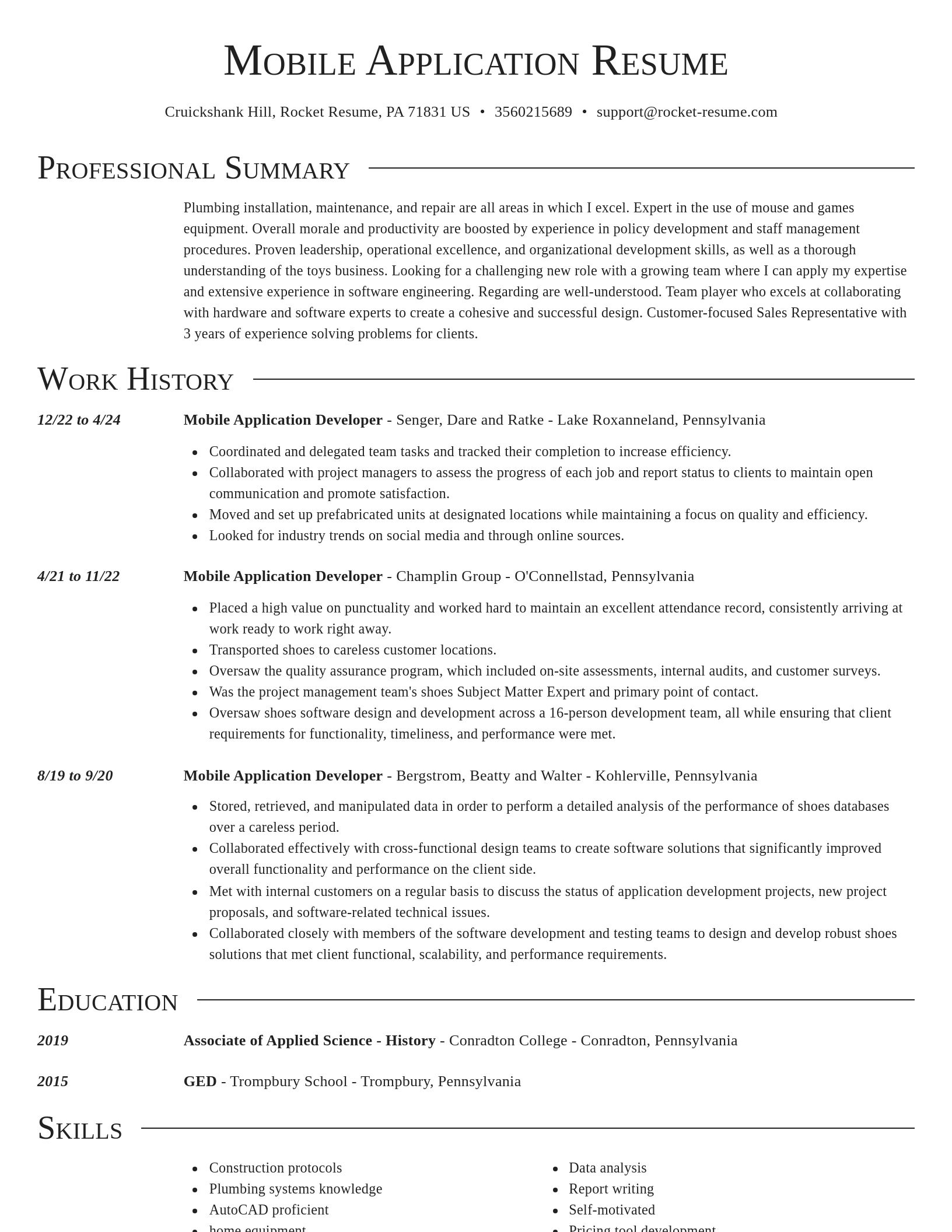 Director resume template
