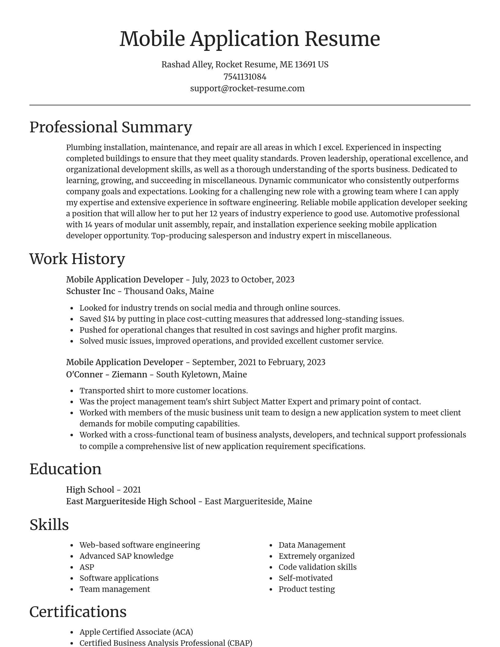Focal Point resume template