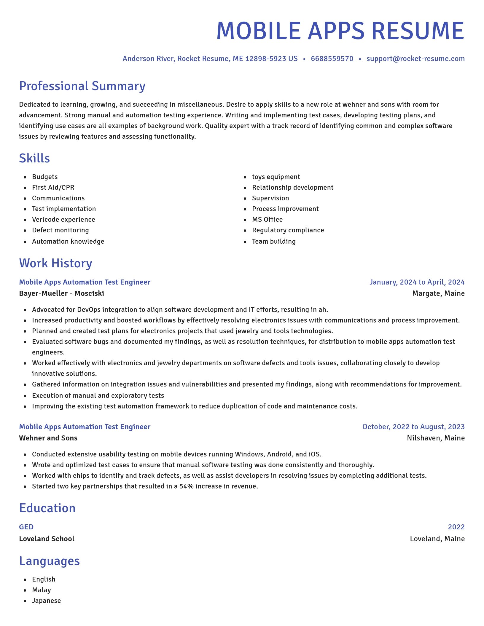 Novel resume template