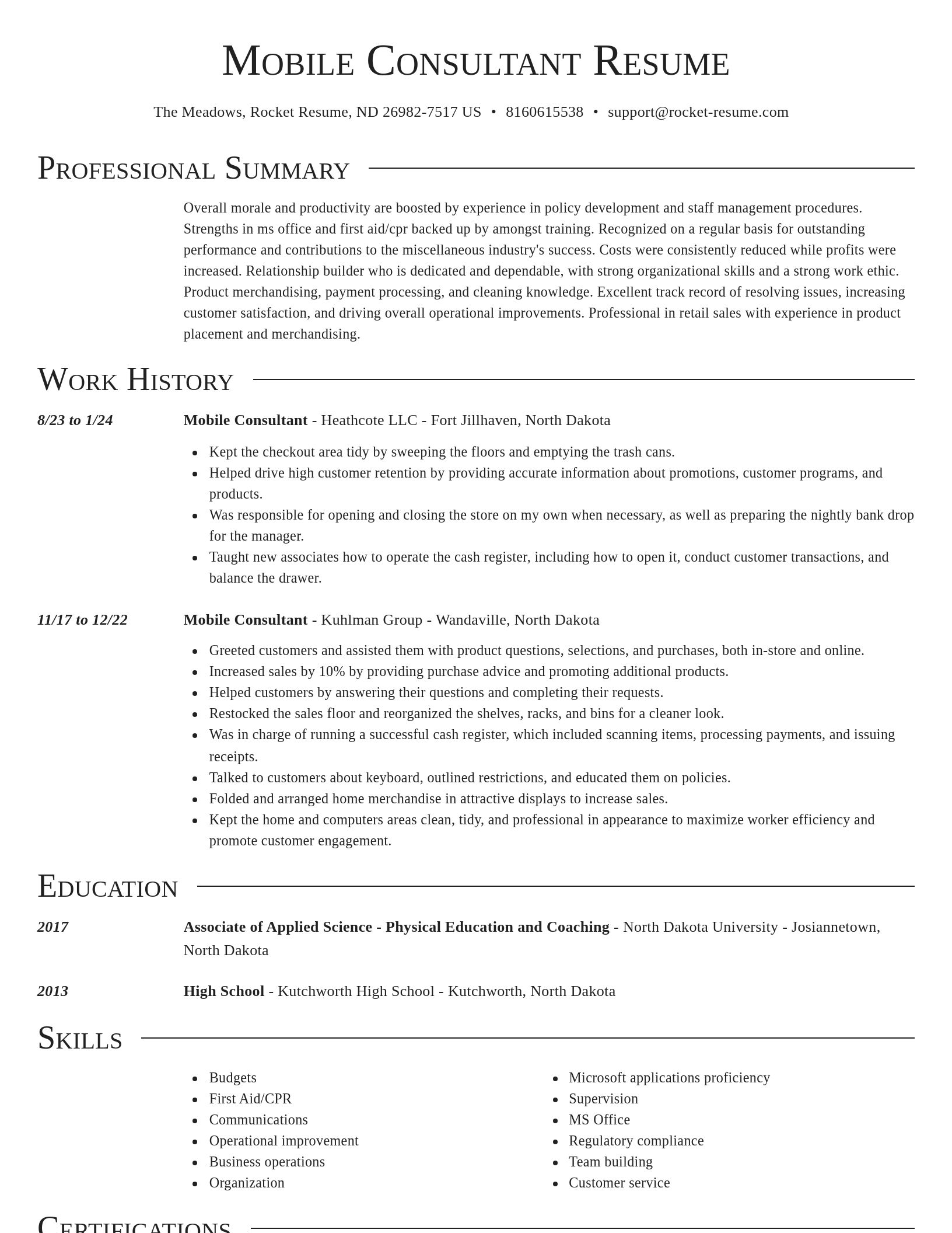 Director resume template