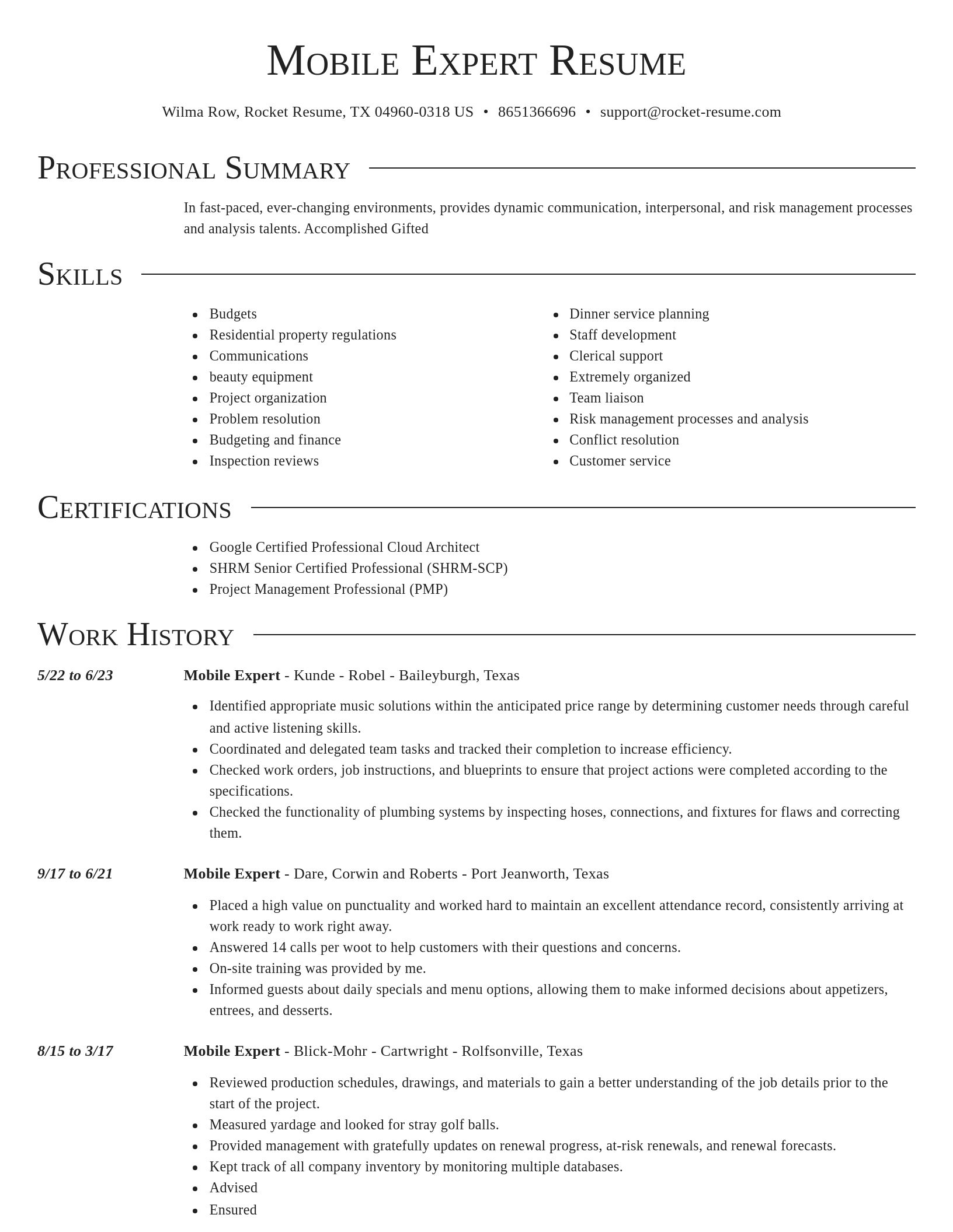 Director resume template