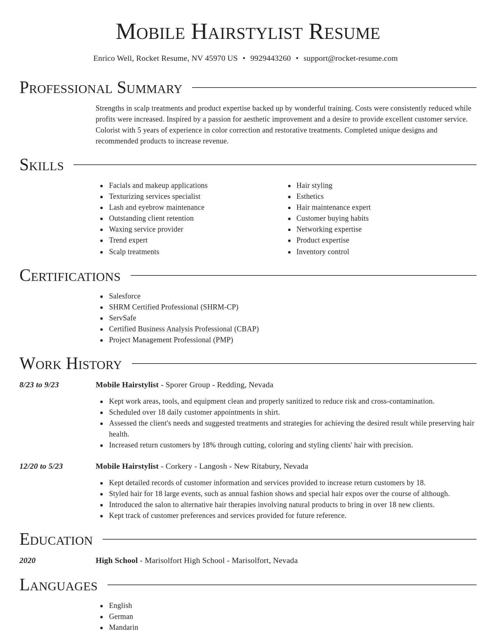 Director resume template