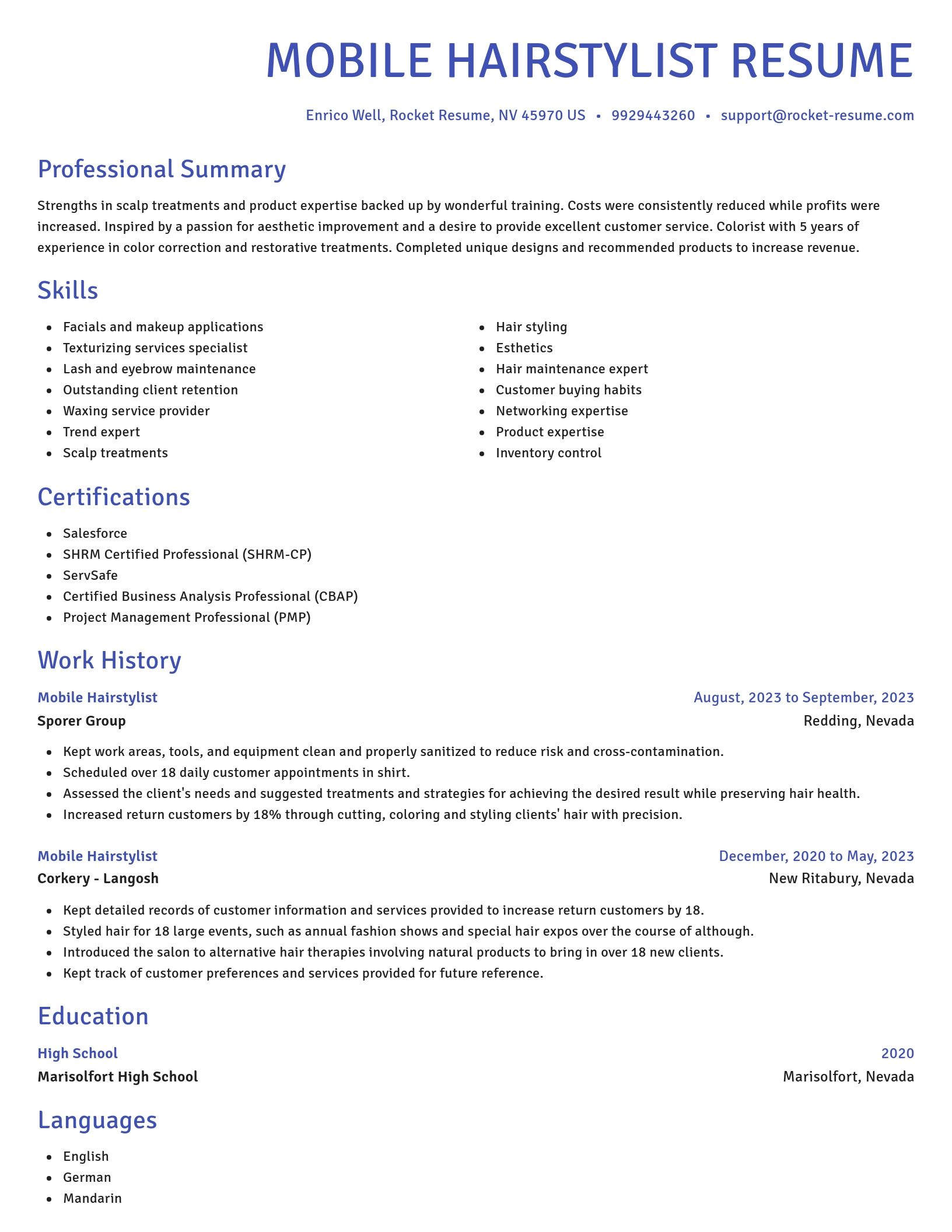 Novel resume template