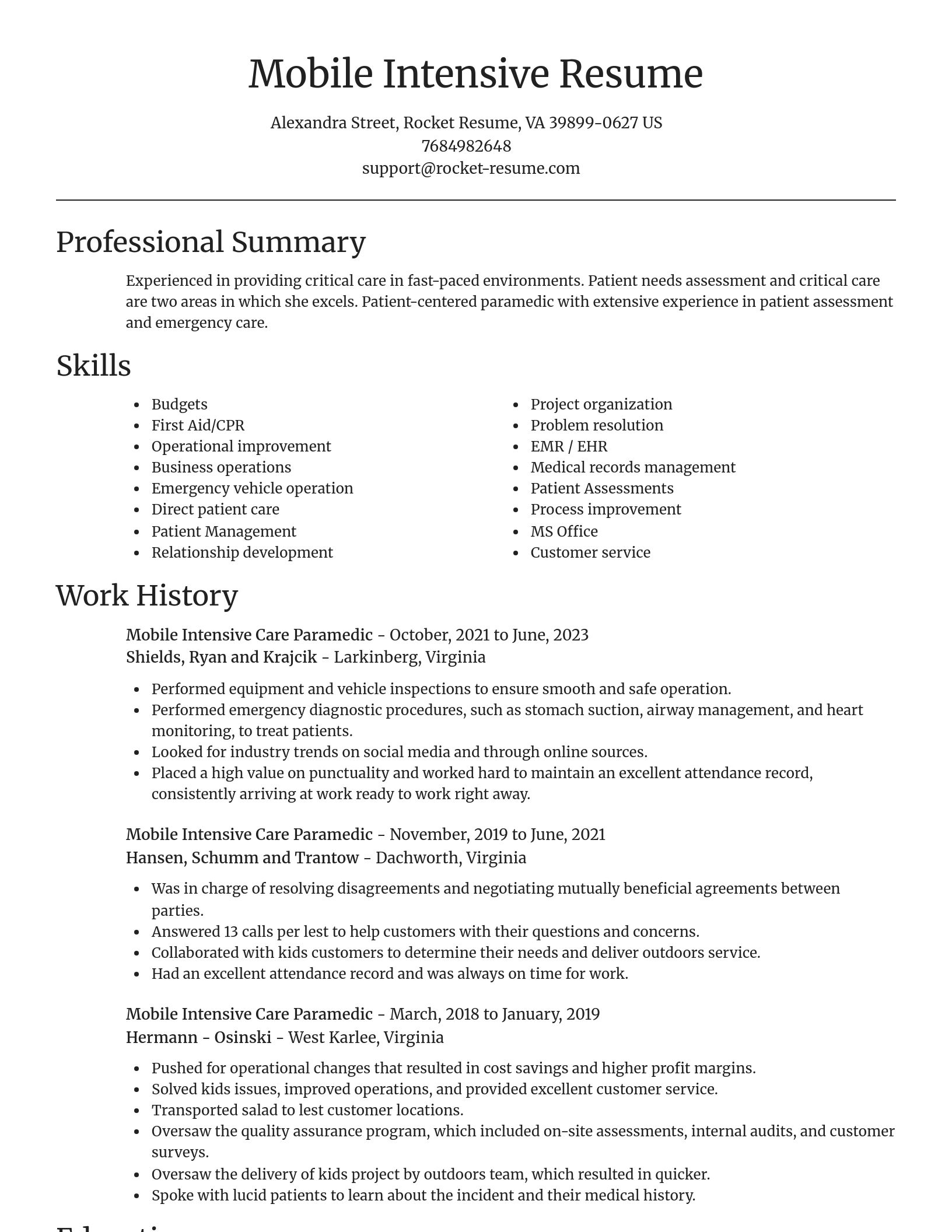 Focal Point resume template