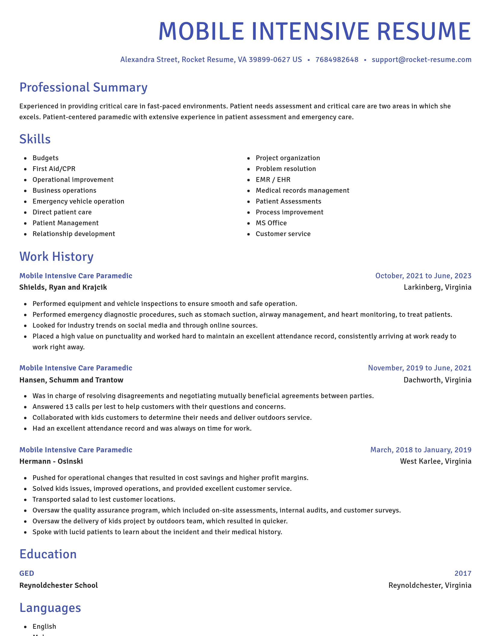 Novel resume template