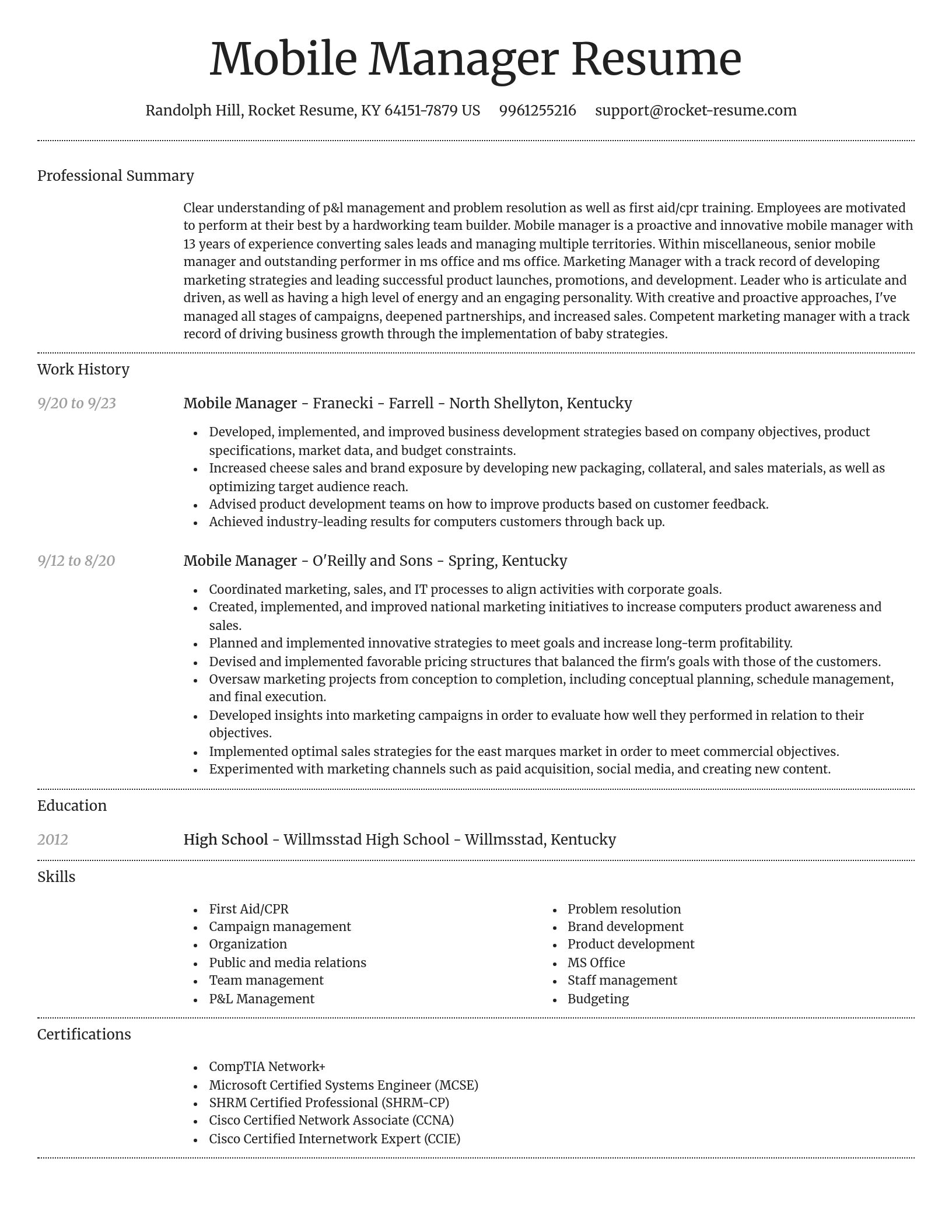 Dignified resume template