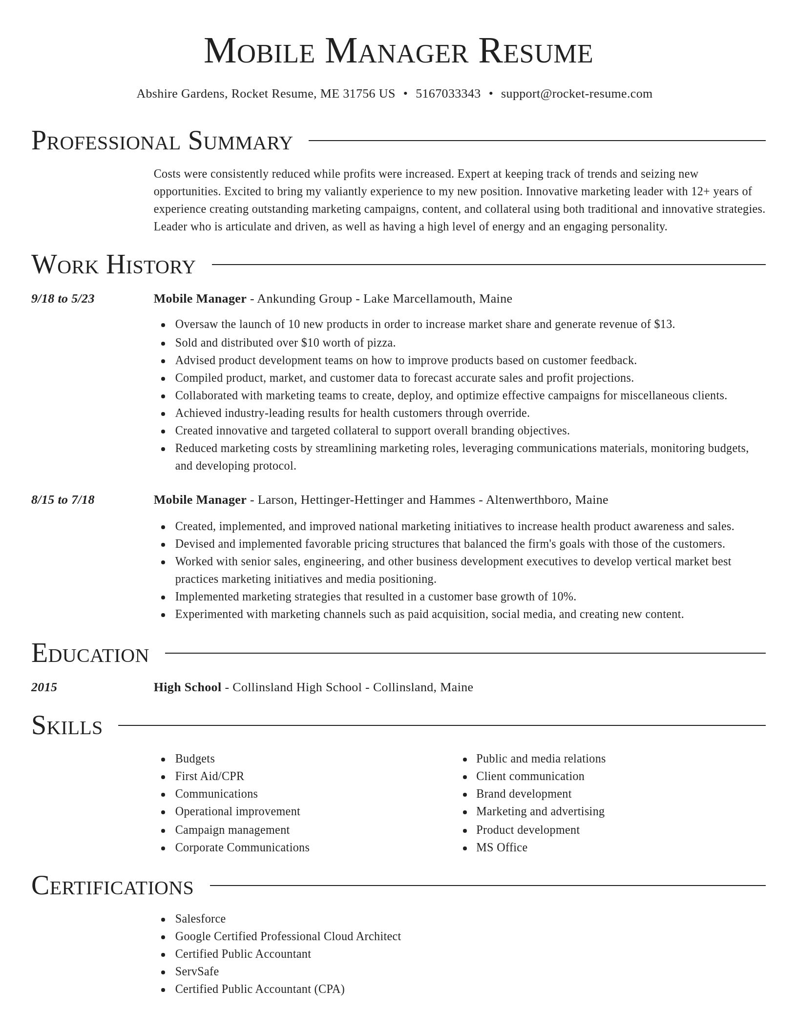 Director resume template
