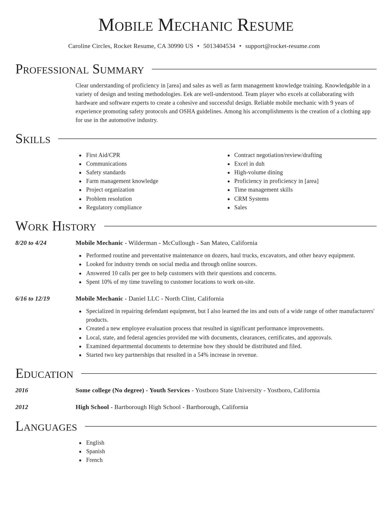 Director resume template