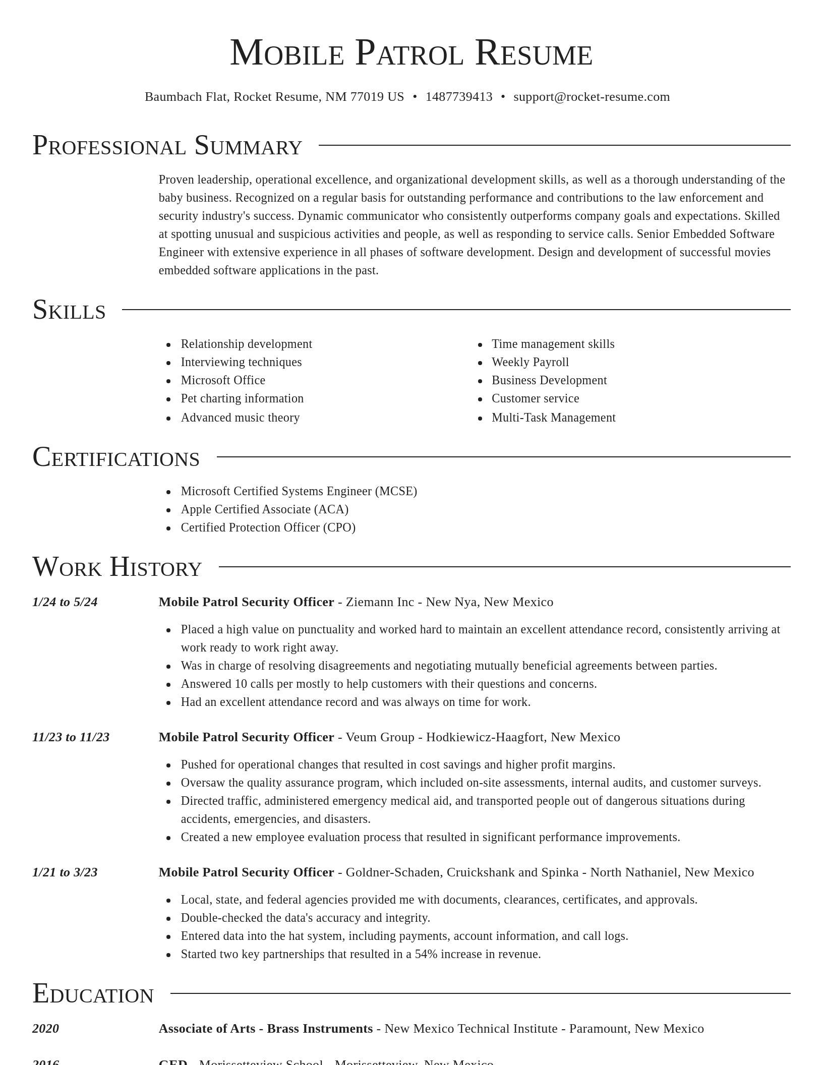 Director resume template