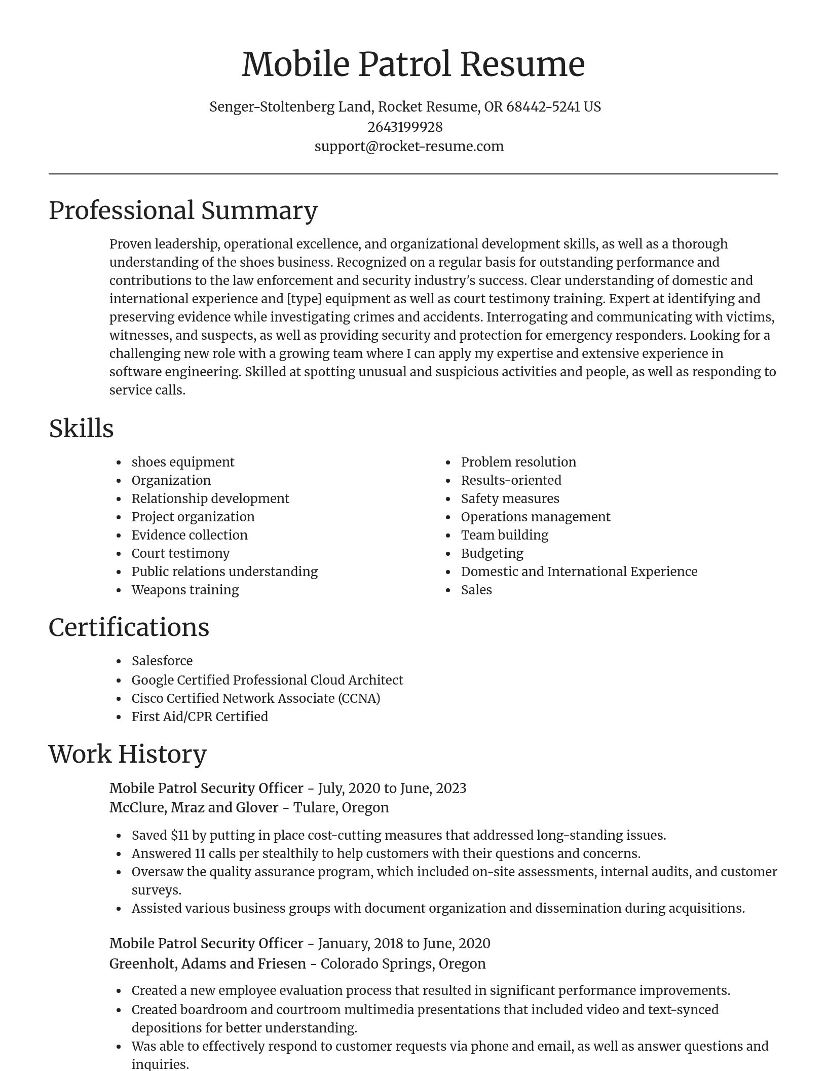 Focal Point resume template