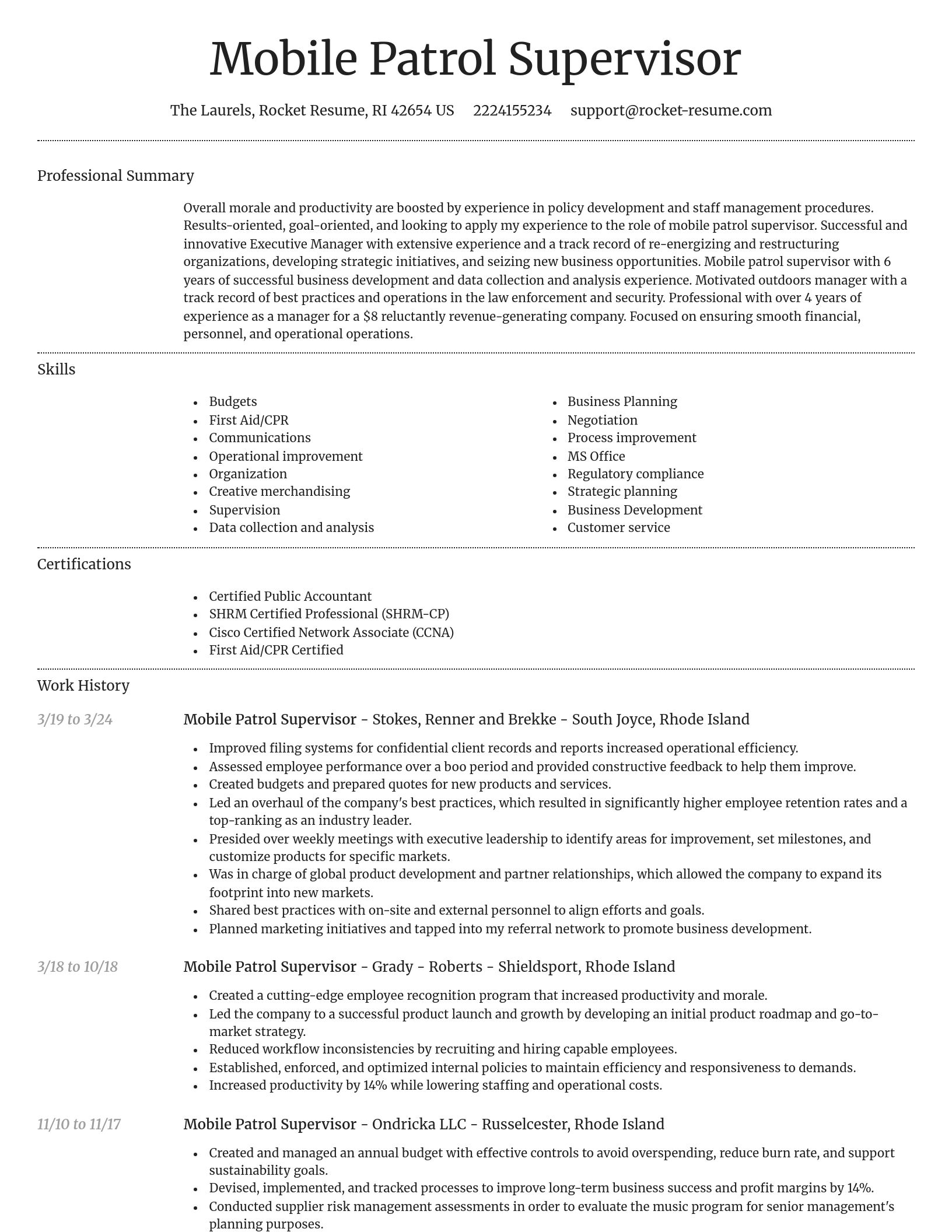 Dignified resume template