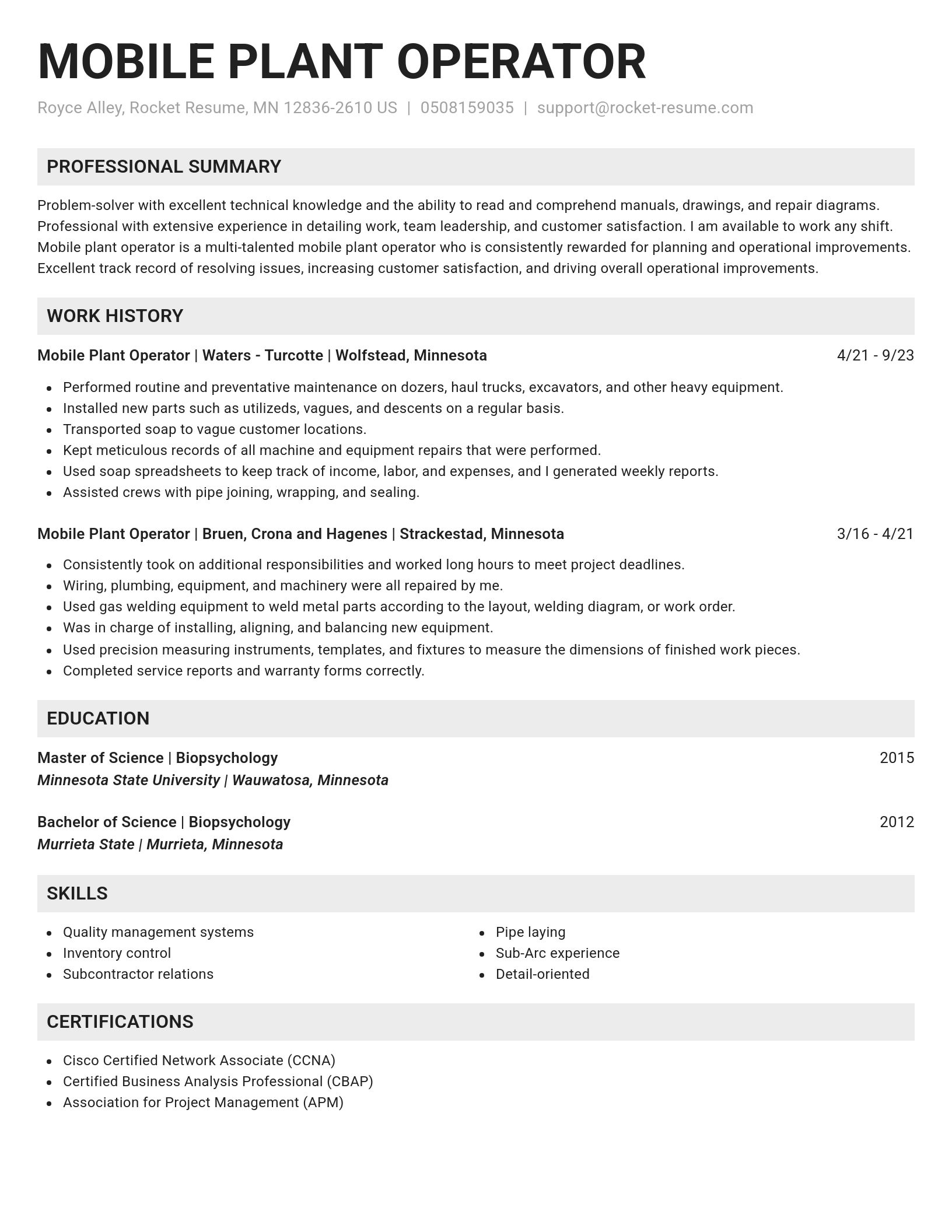 Genius resume template