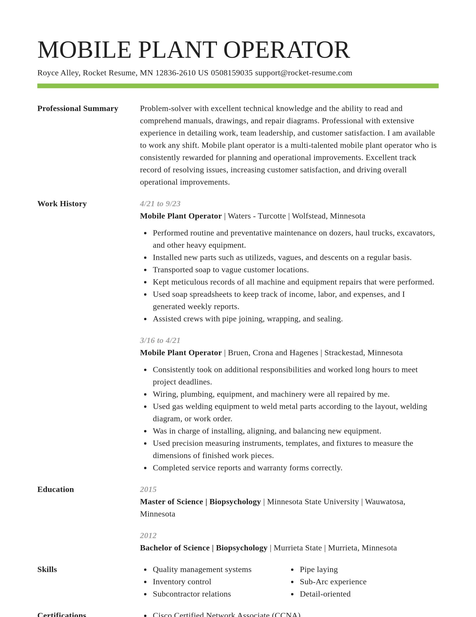 Smart resume template