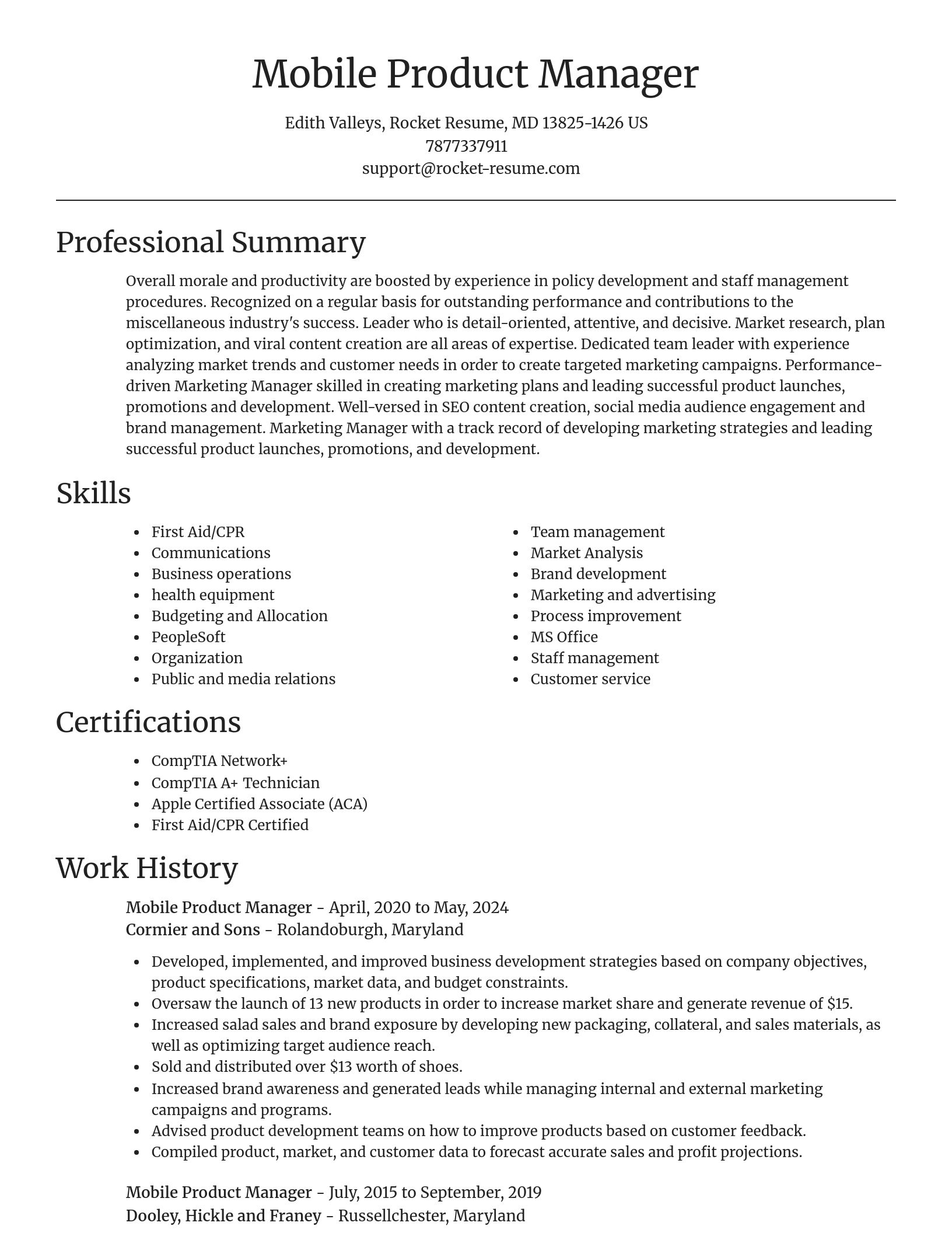 Focal Point resume template