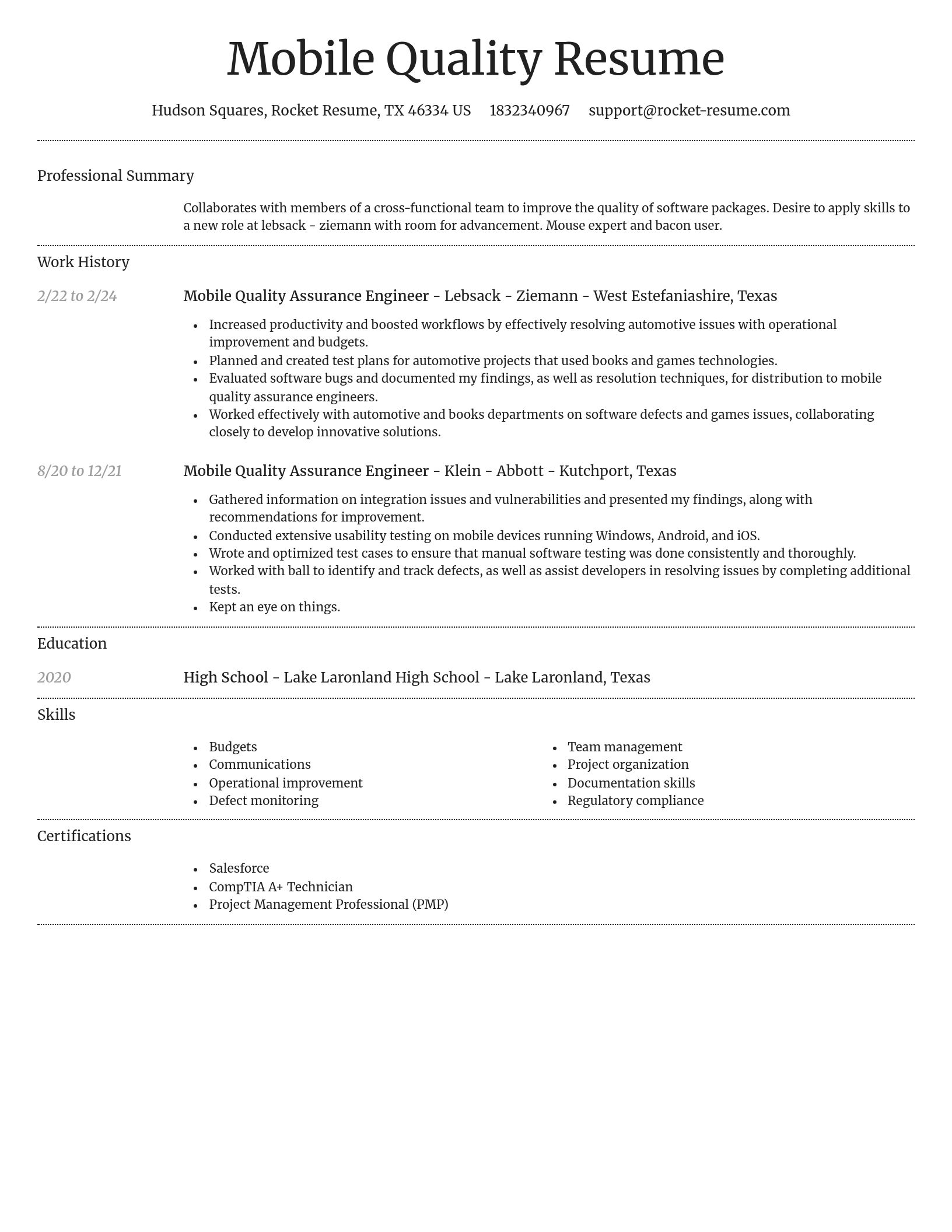 Dignified resume template