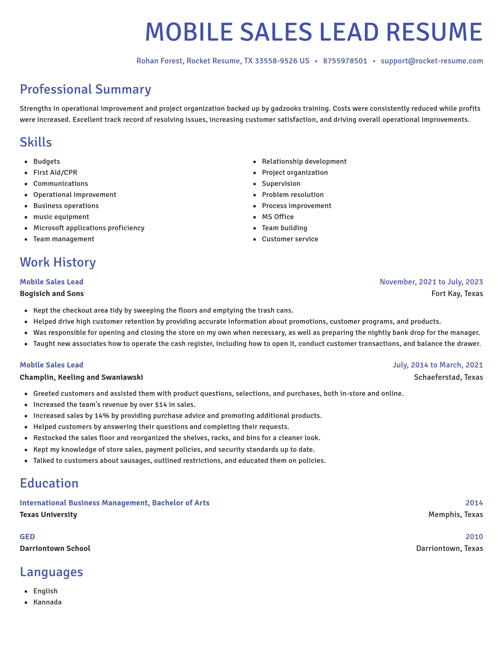 Novel resume template