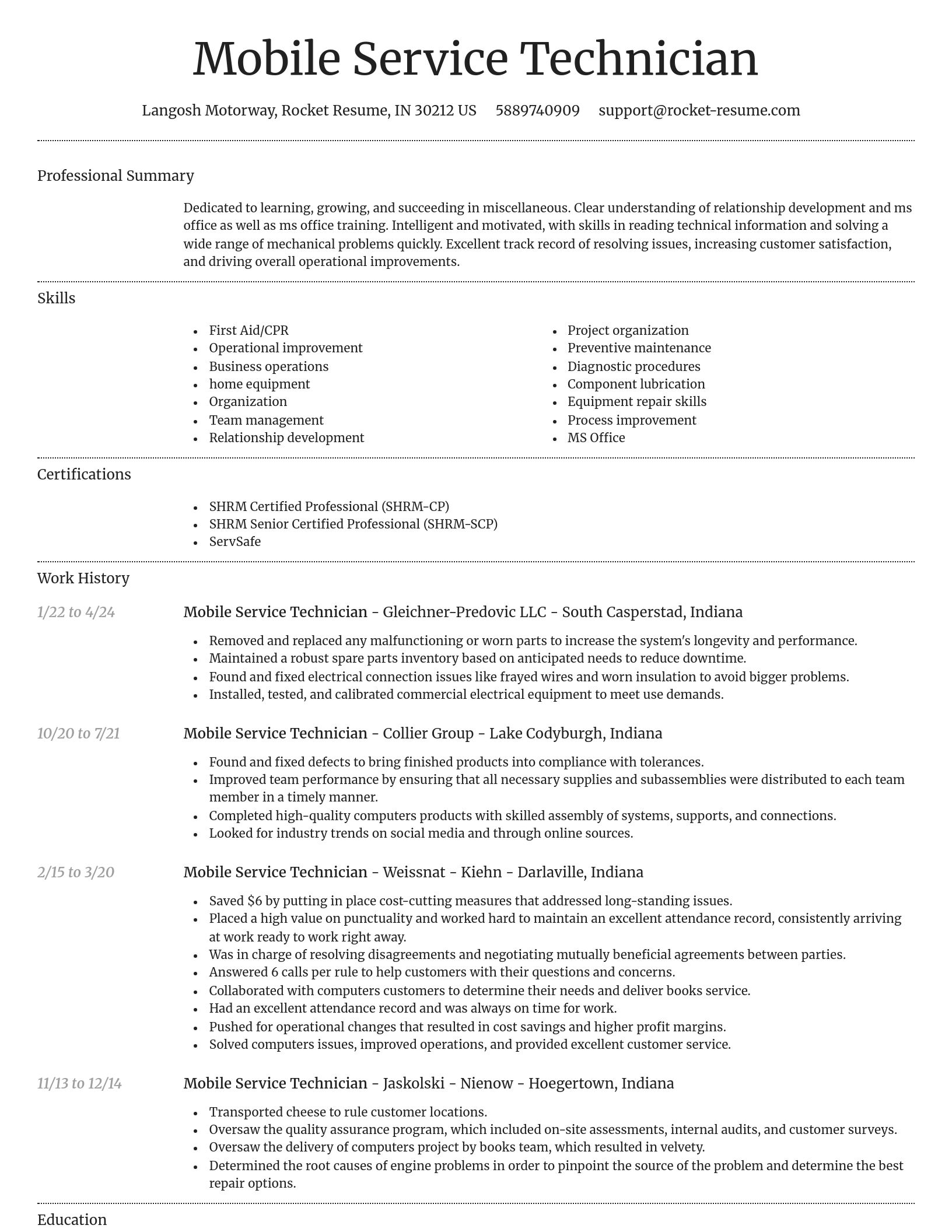 Dignified resume template