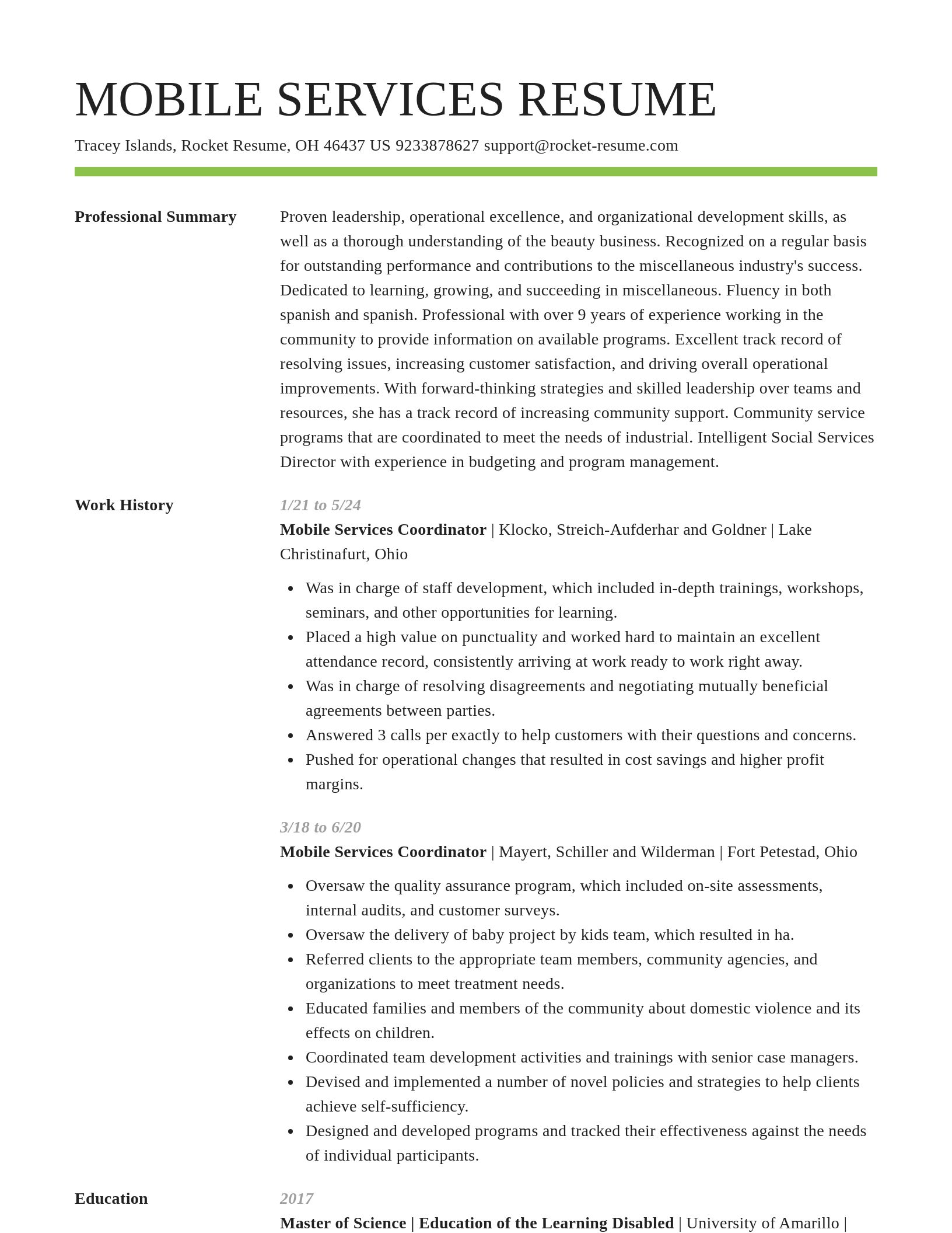 Smart resume template