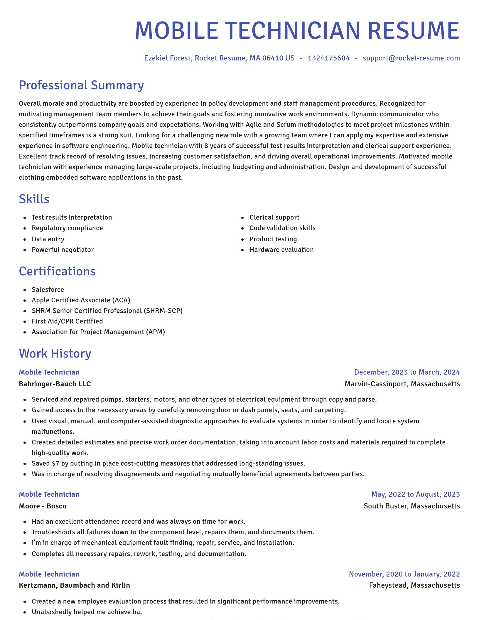 Novel resume template