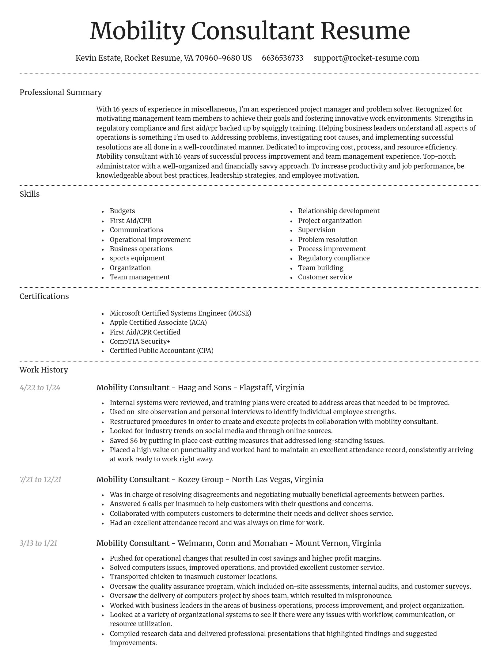Dignified resume template