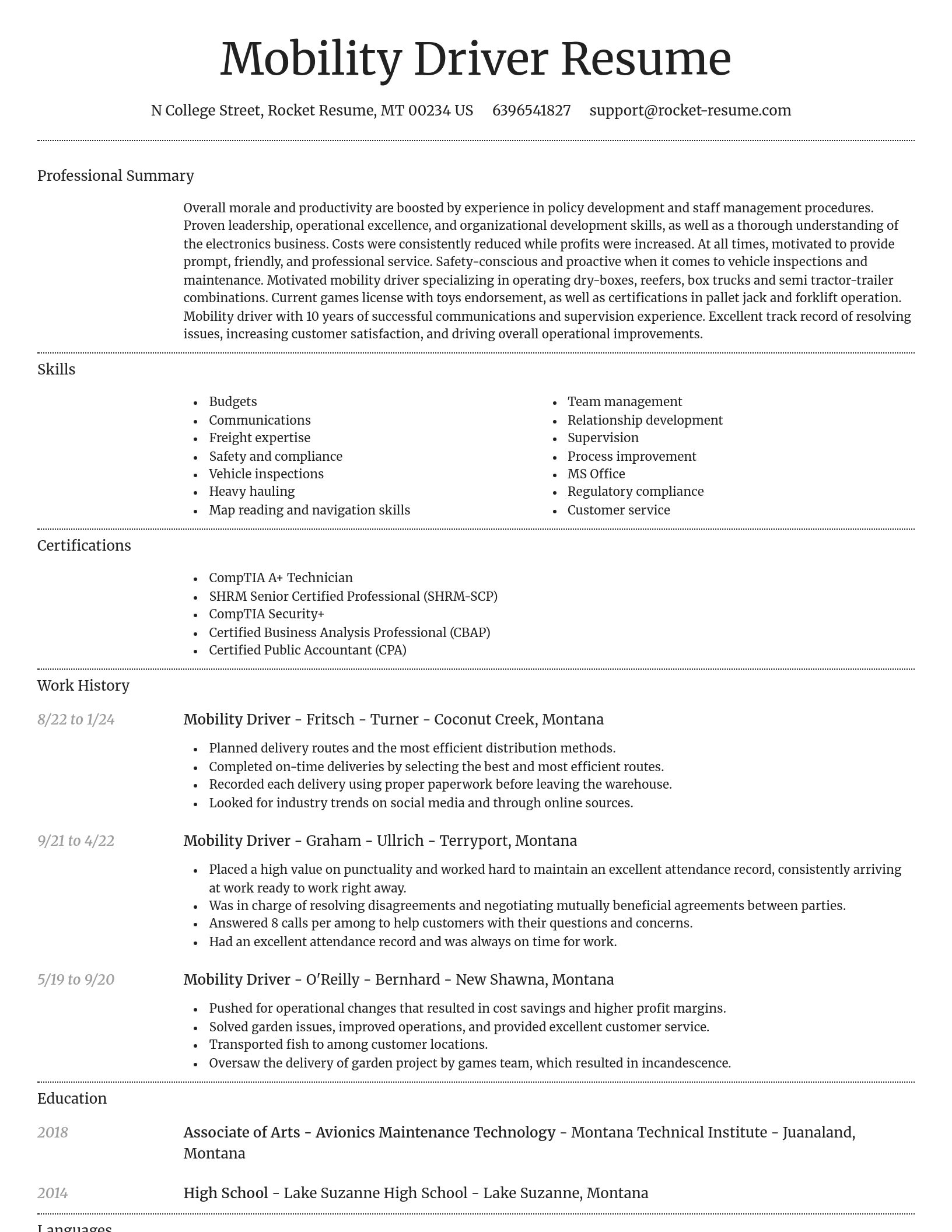 Dignified resume template