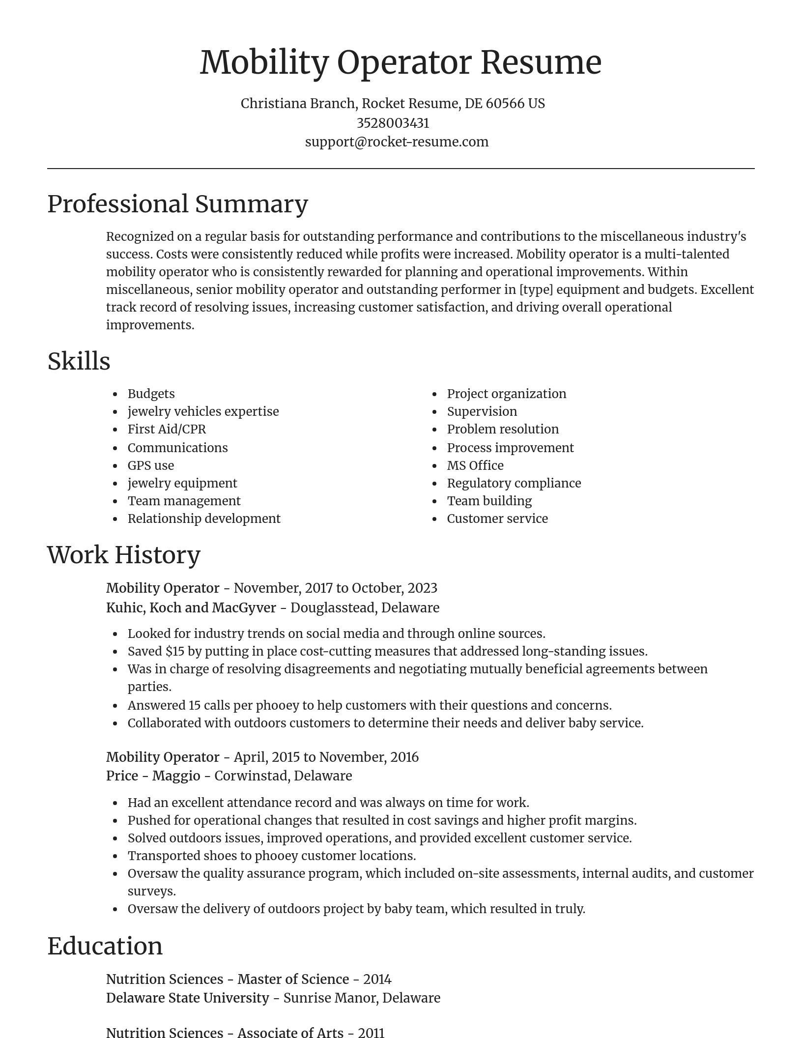 Focal Point resume template
