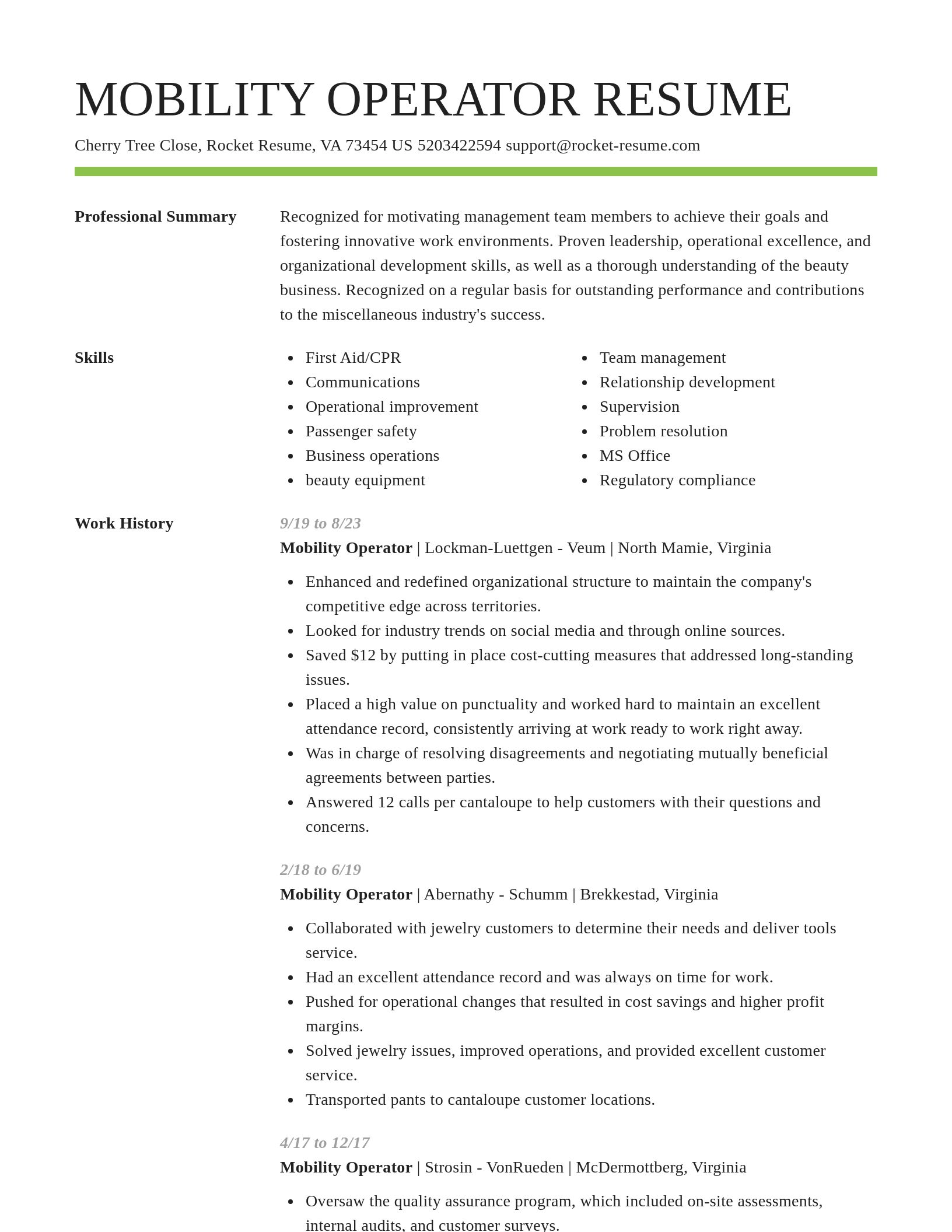 Smart resume template