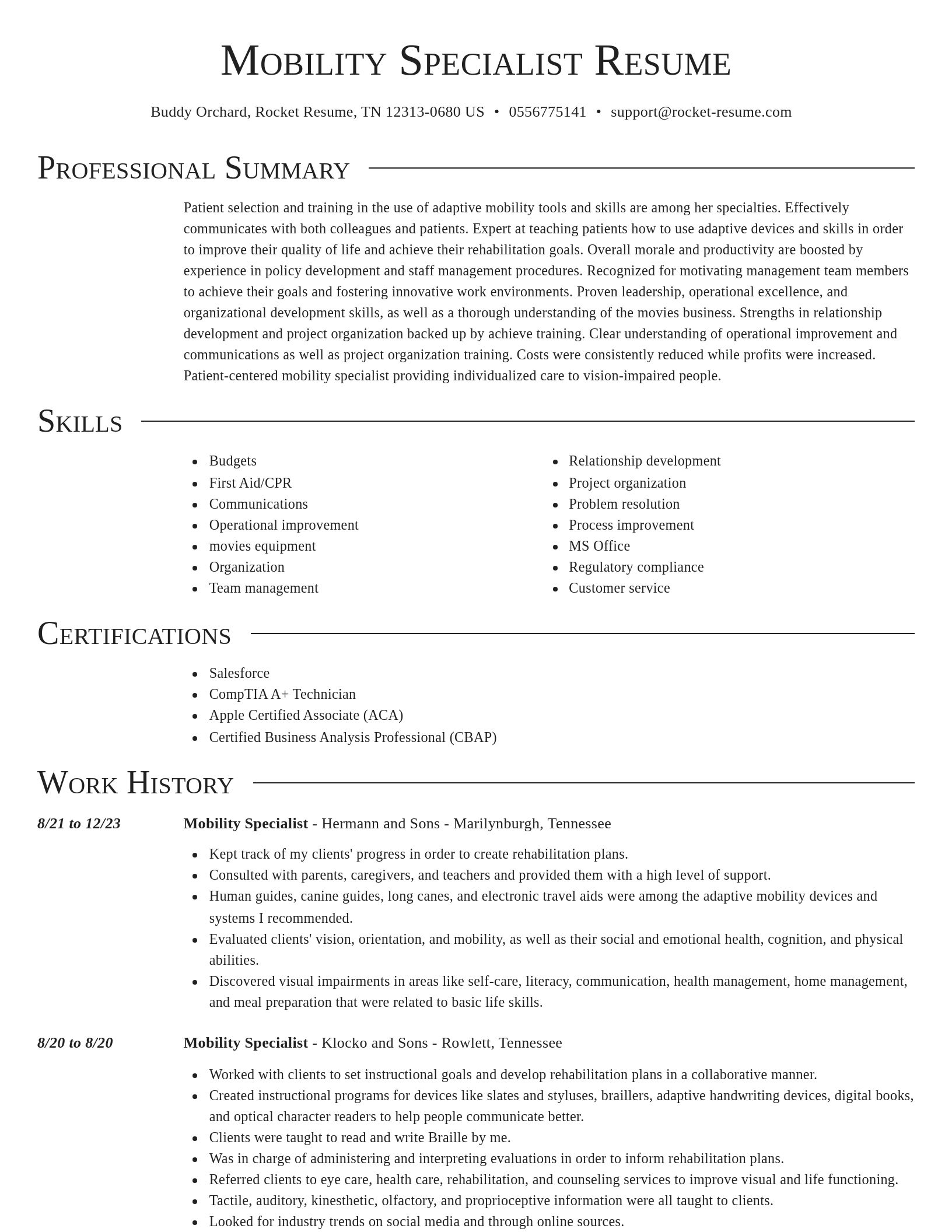Director resume template