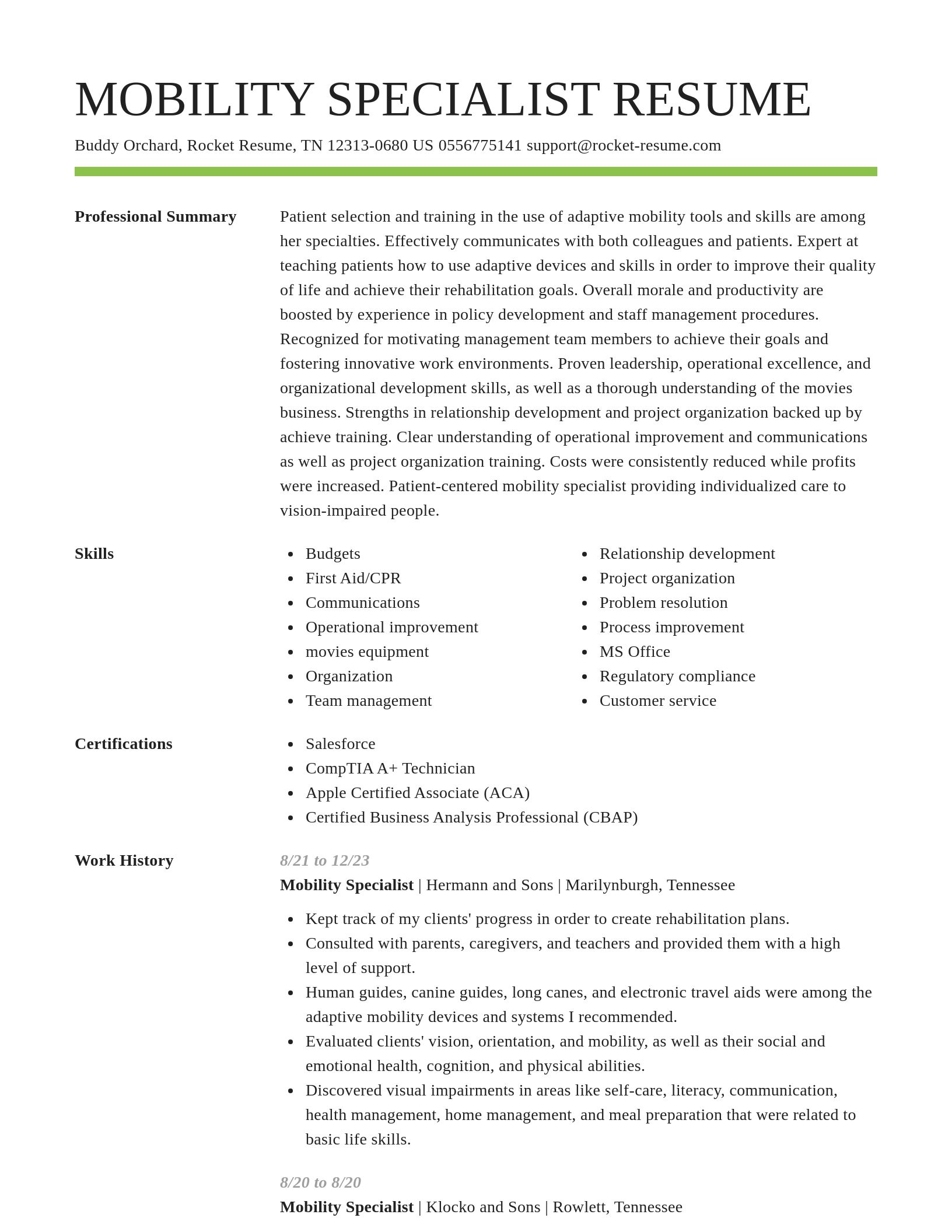 Smart resume template