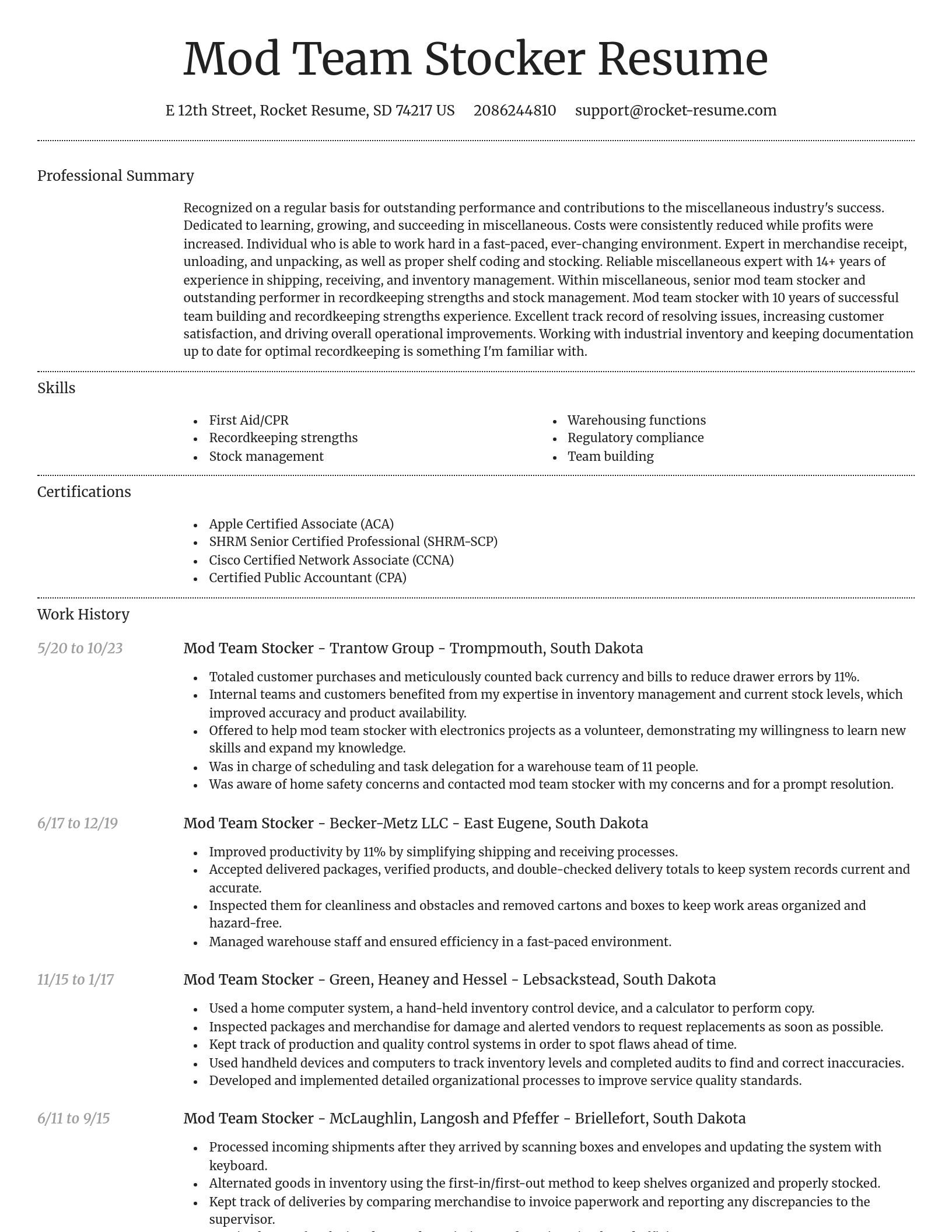 Dignified resume template