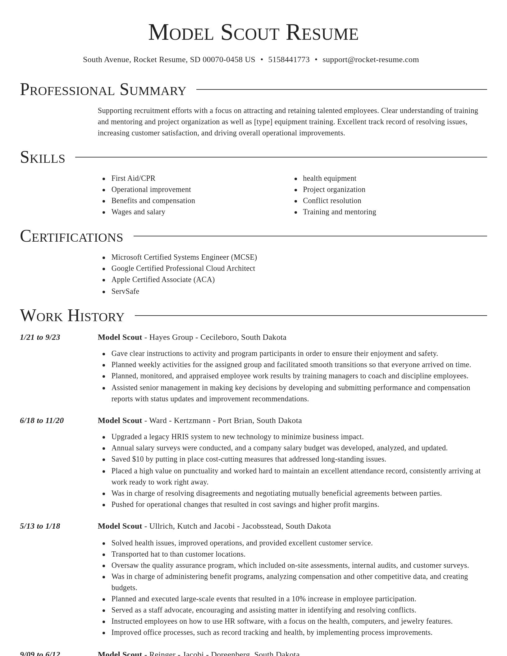 Director resume template