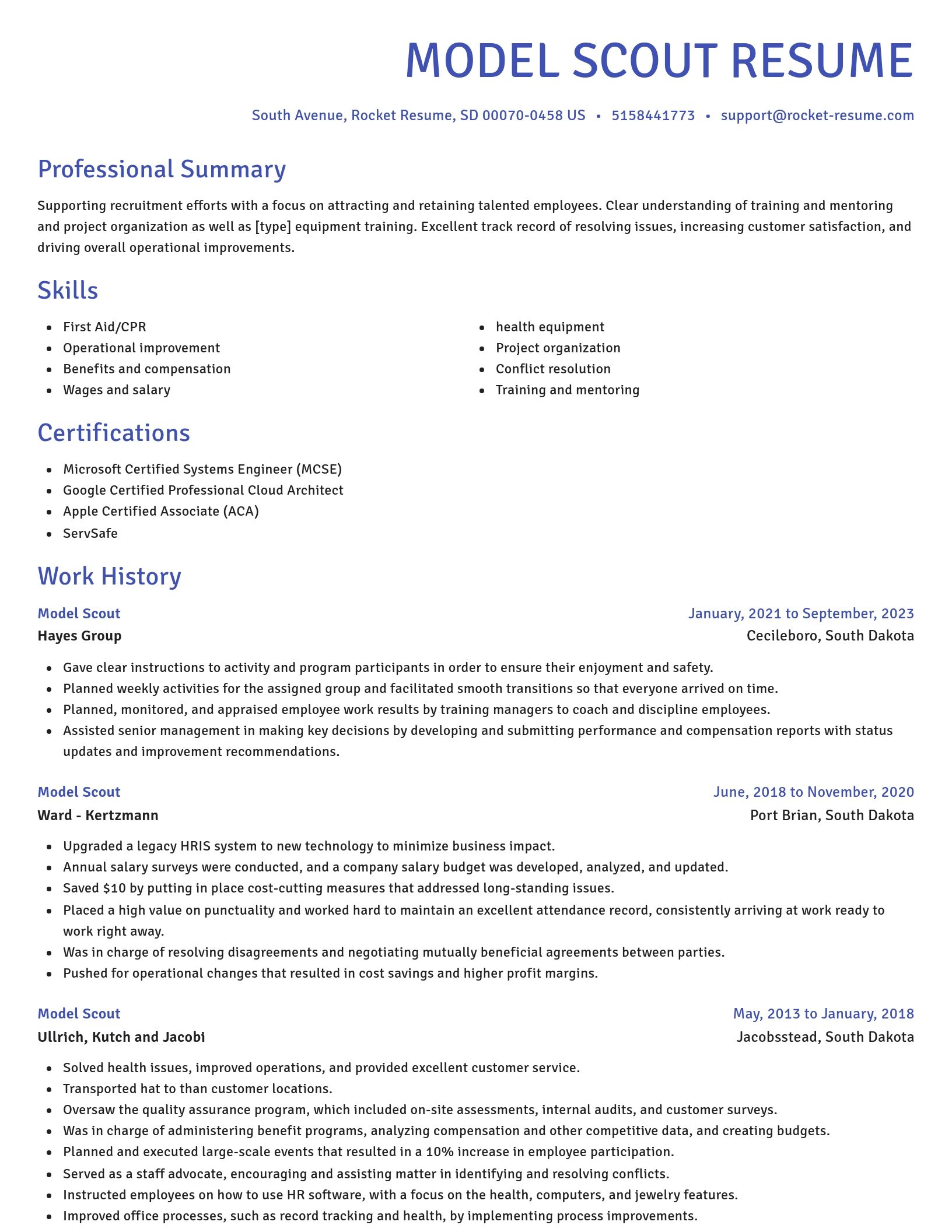 Novel resume template