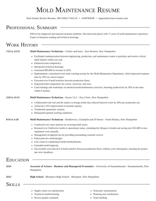 Director resume template
