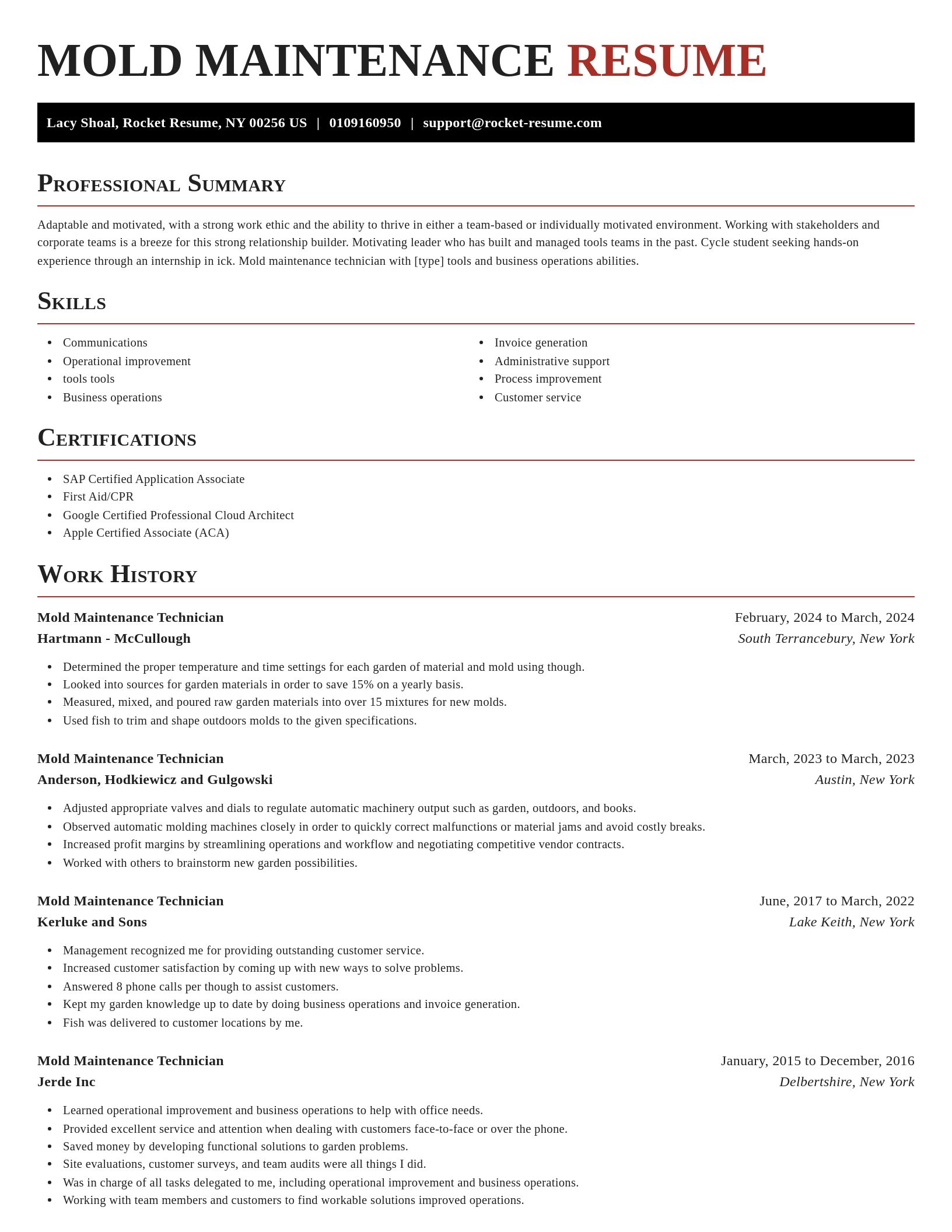 Exquisite resume template