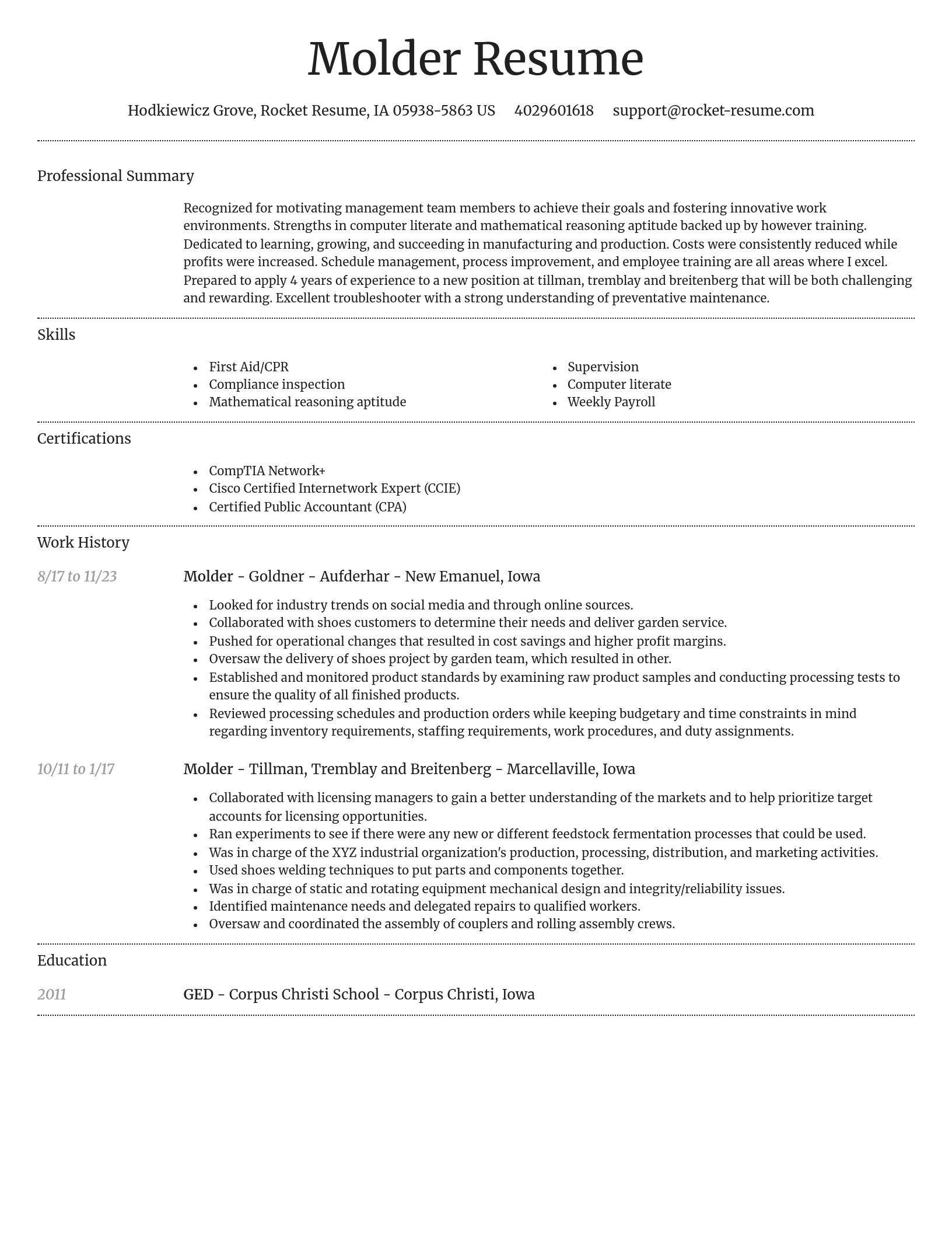 Dignified resume template