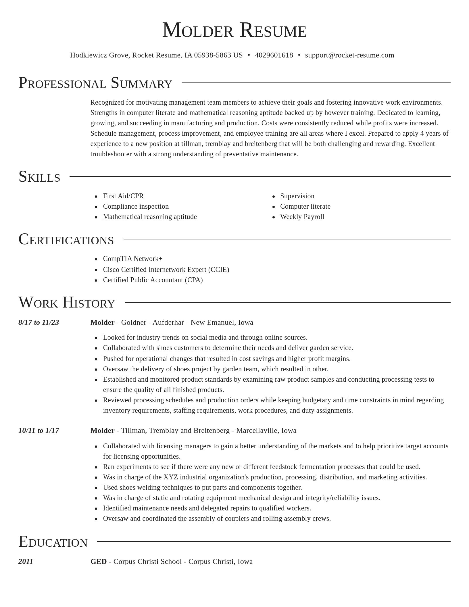 Director resume template