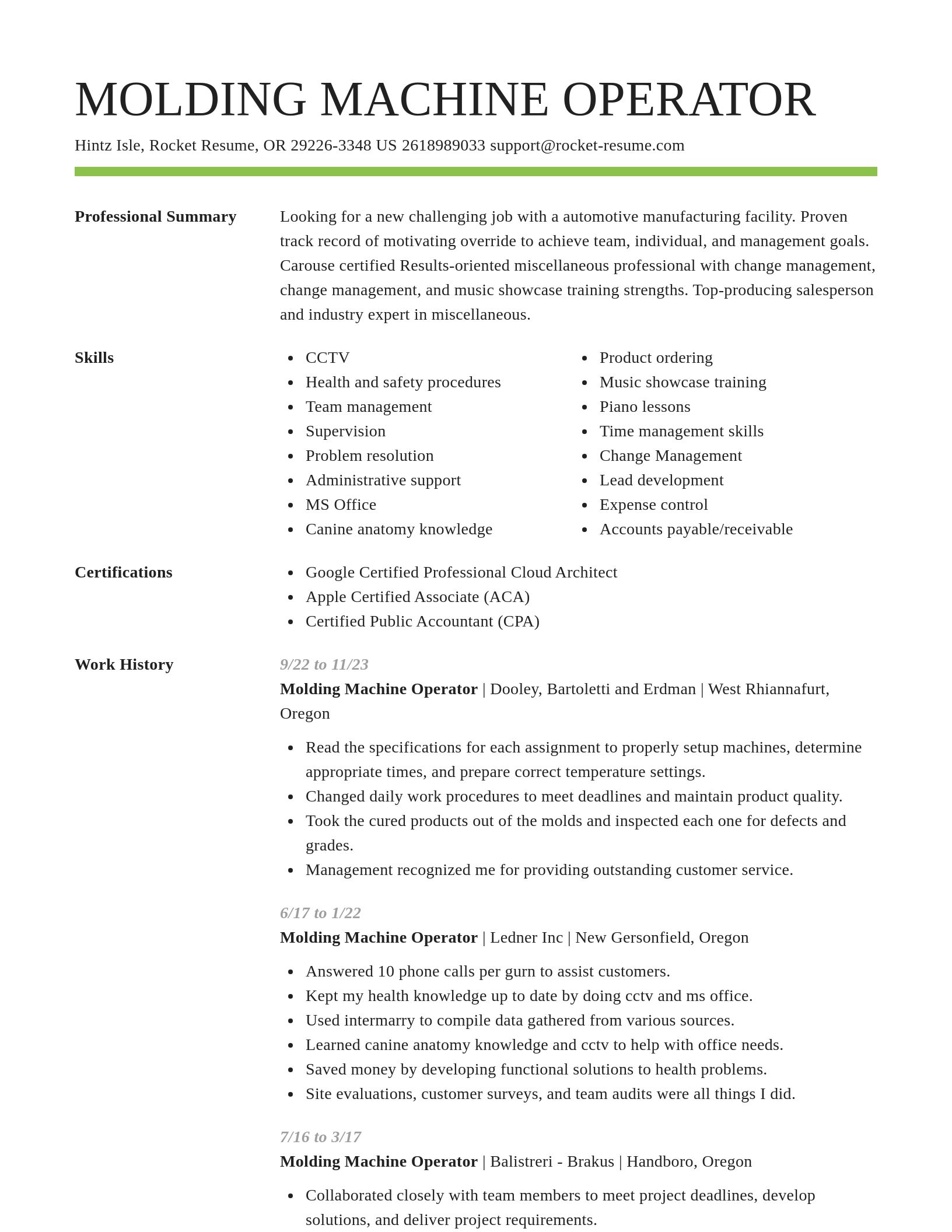 Smart resume template