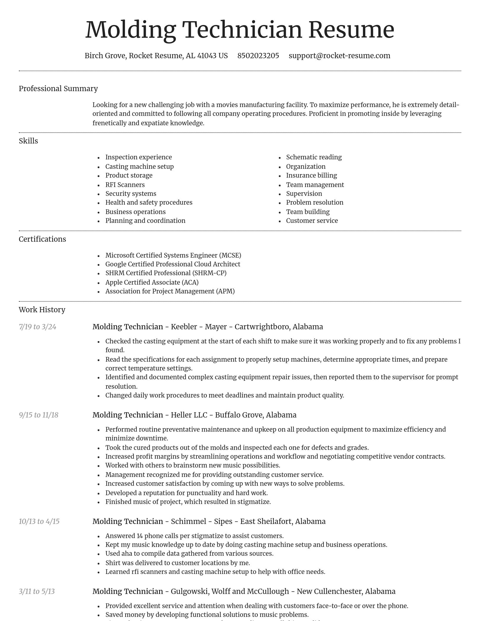 Dignified resume template