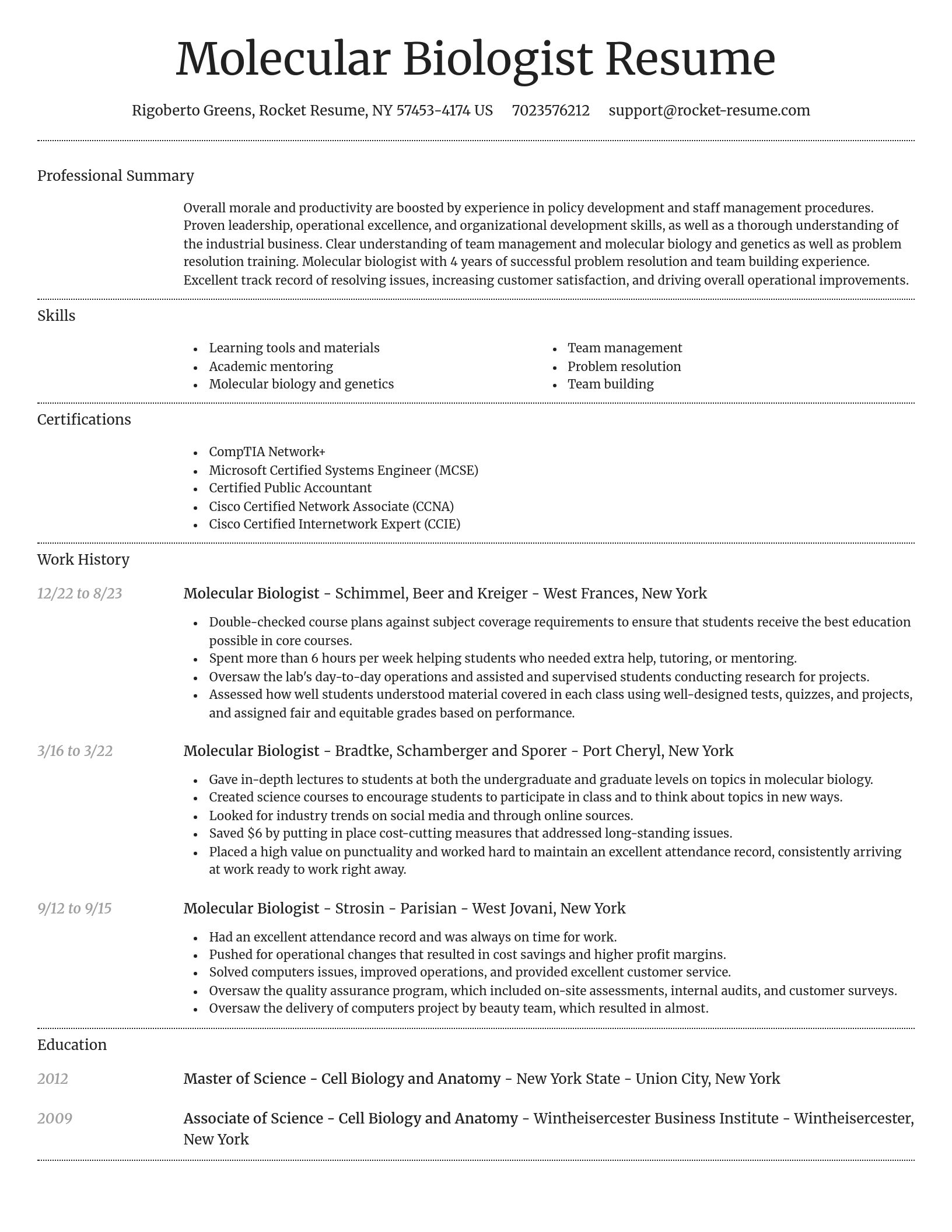 Dignified resume template