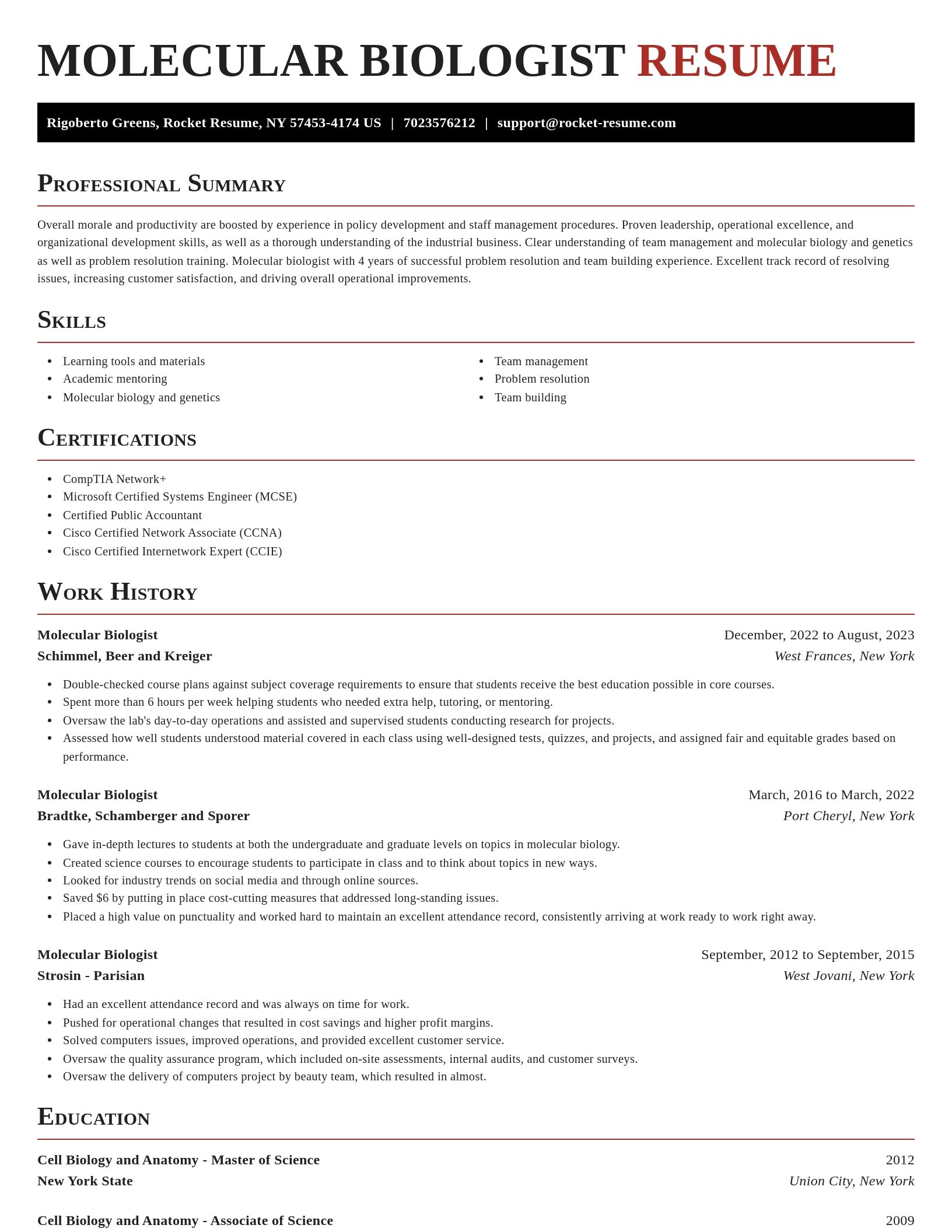 Exquisite resume template