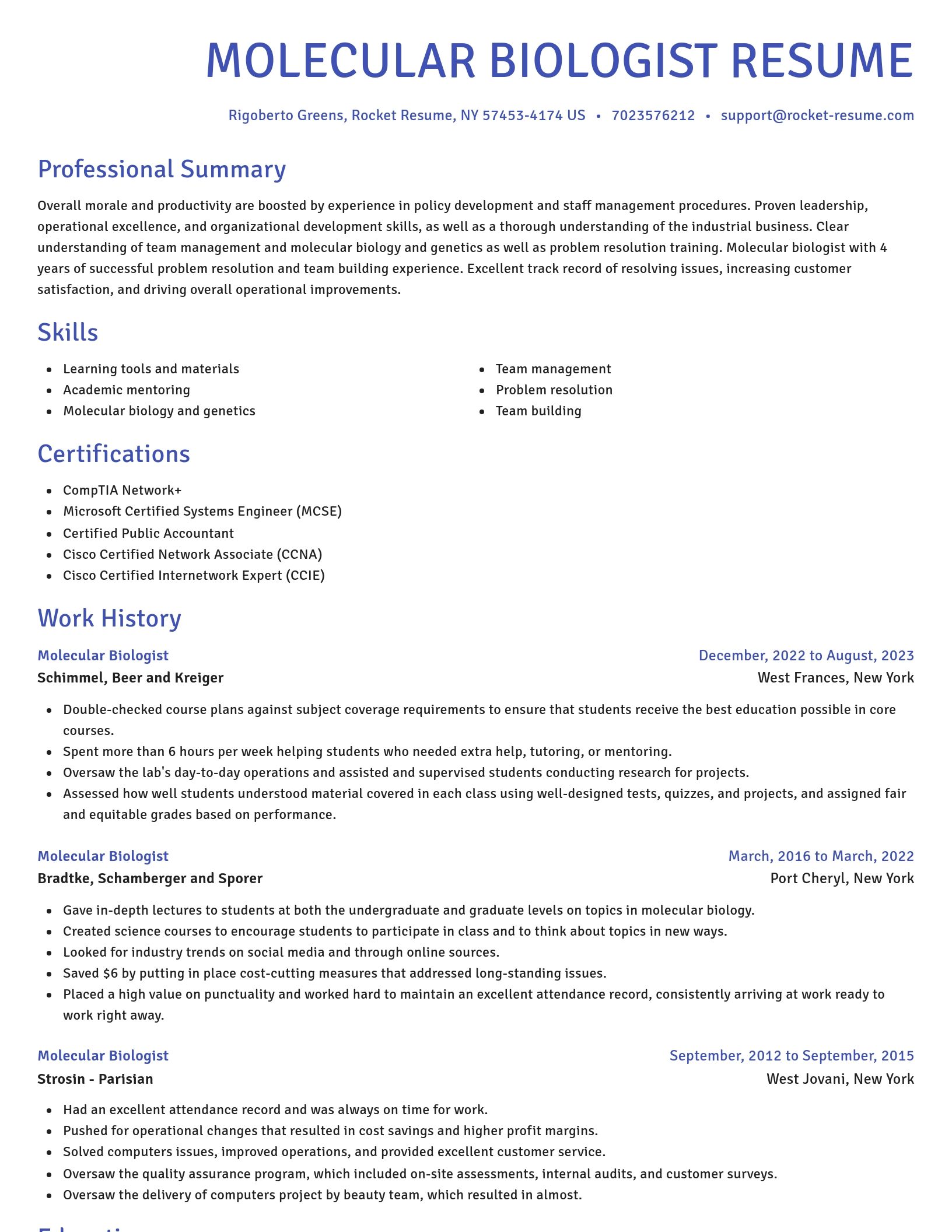 Novel resume template