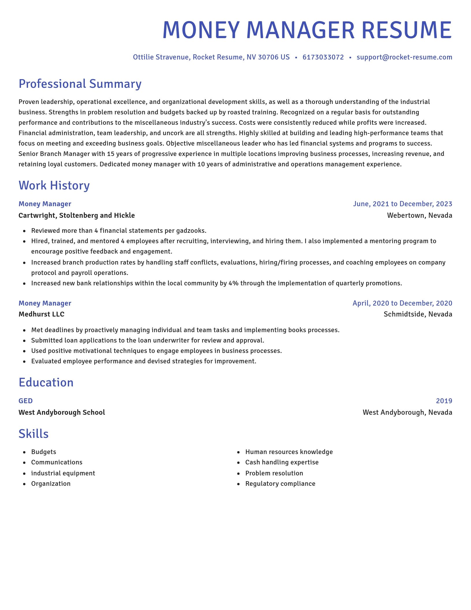 Novel resume template