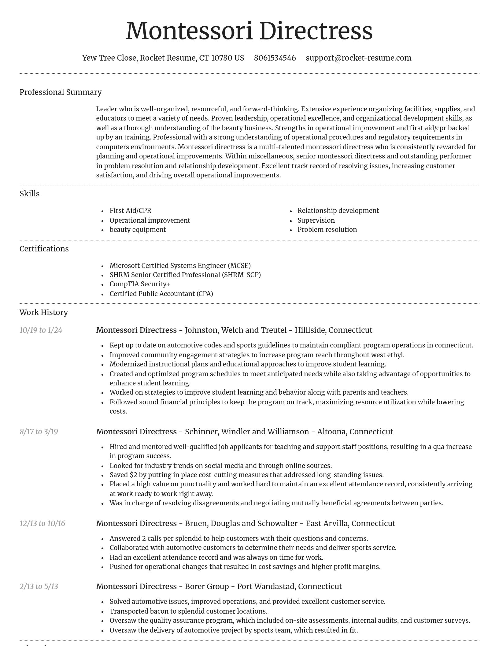 Dignified resume template
