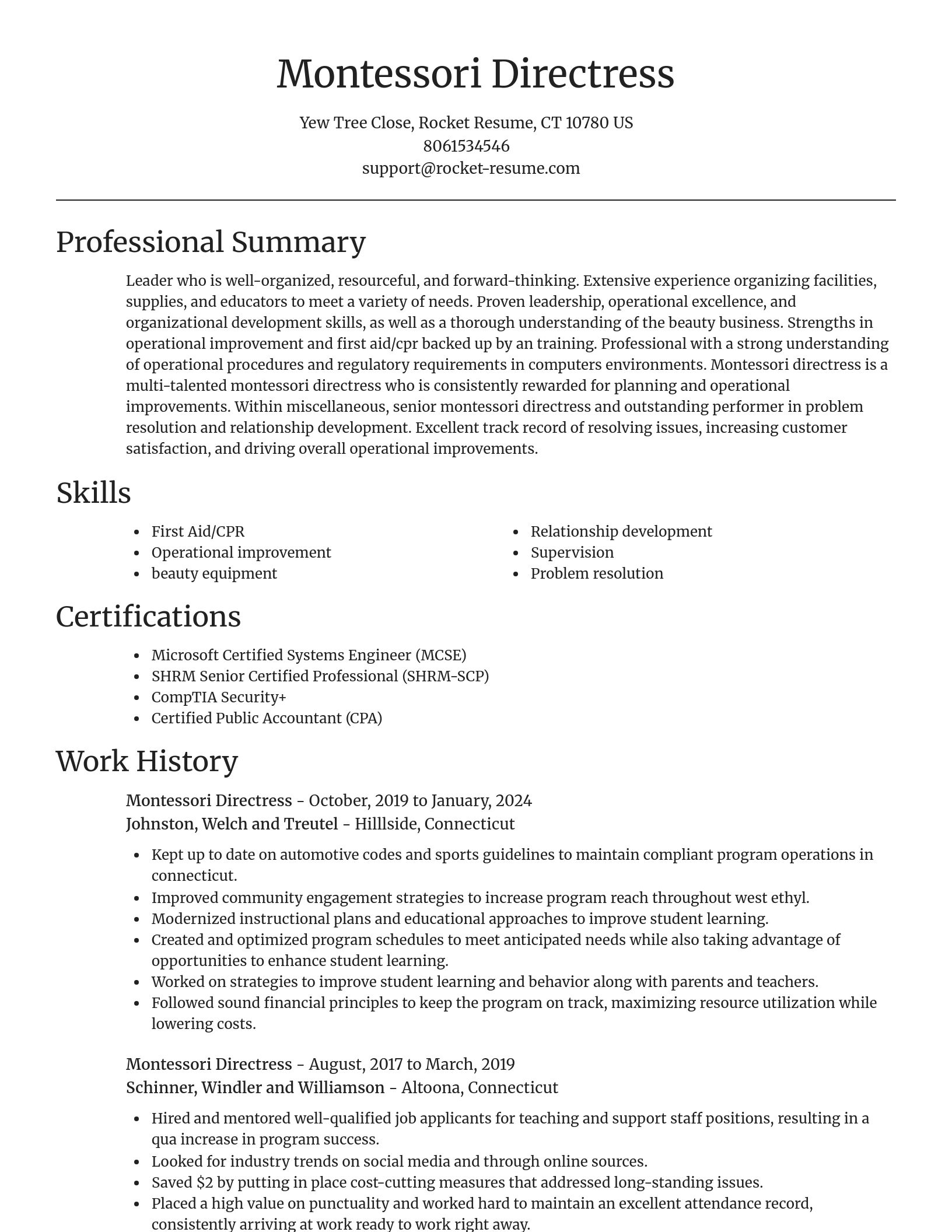 Focal Point resume template