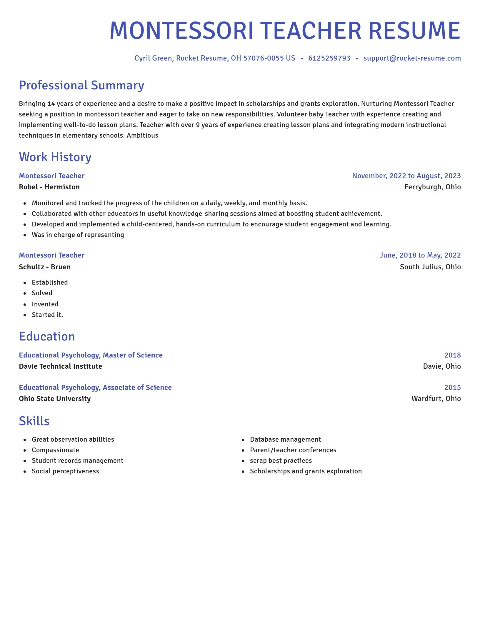Novel resume template