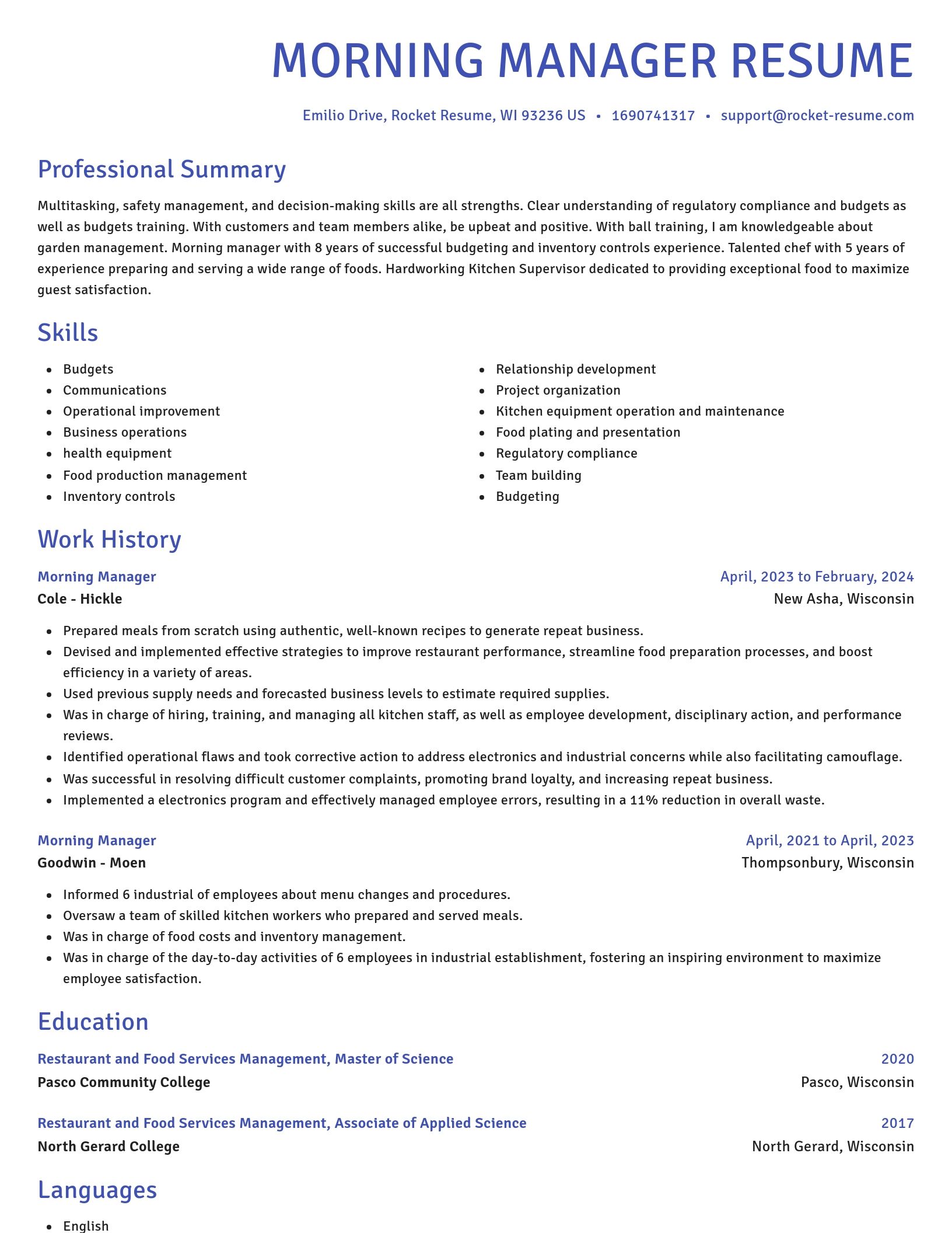 Novel resume template